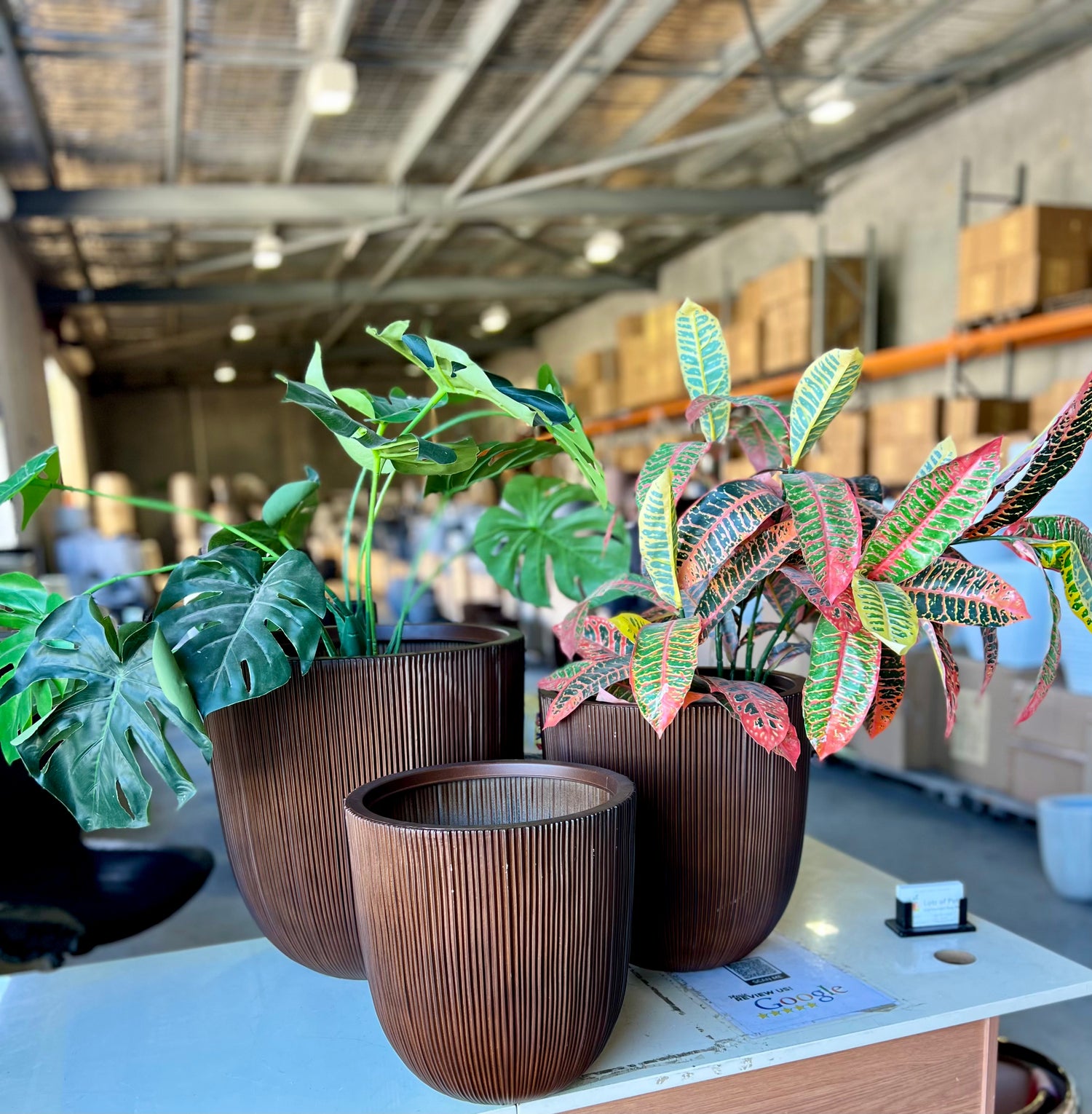 8618 Alicia Pot
