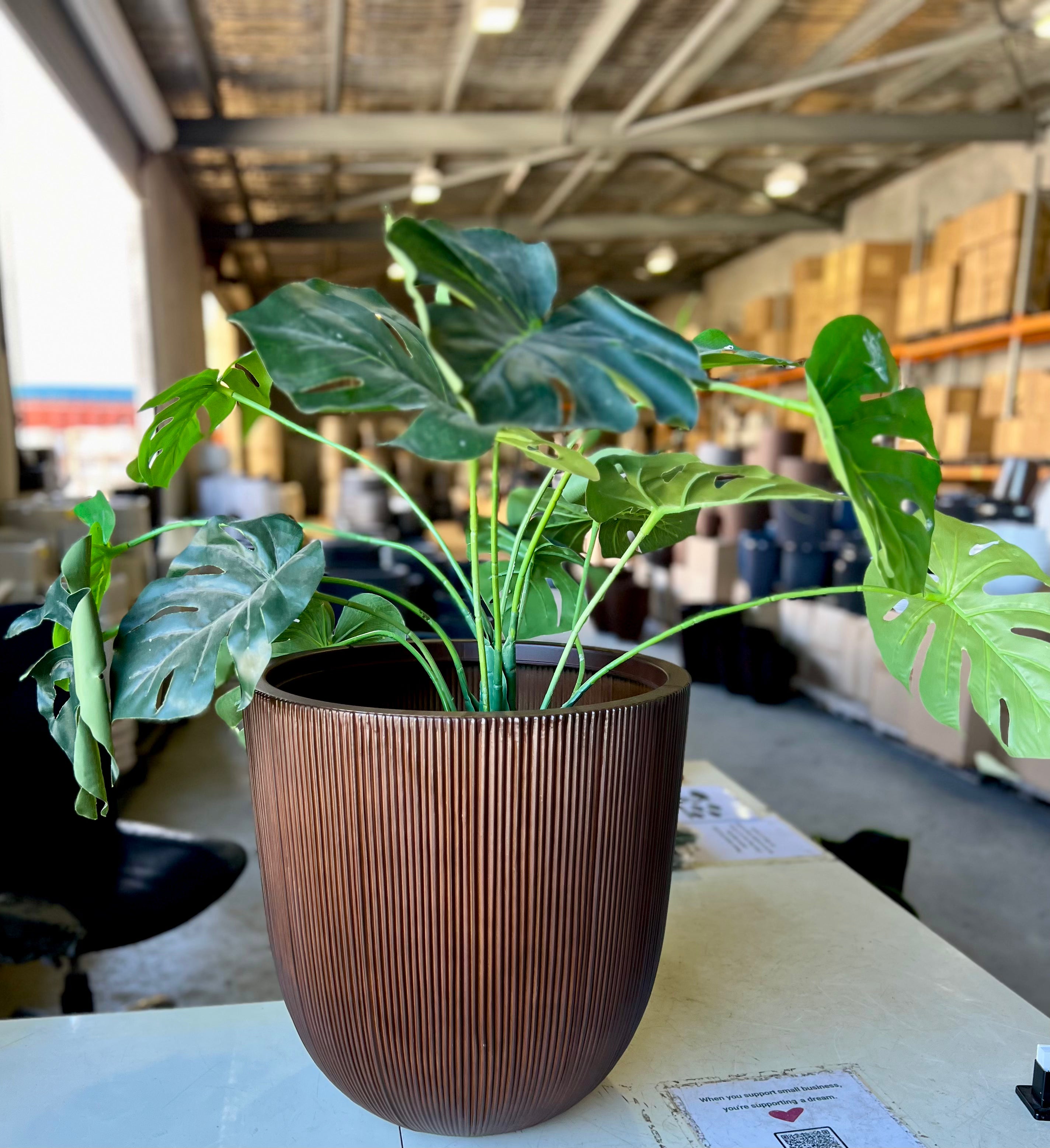 8618 Alicia Pot