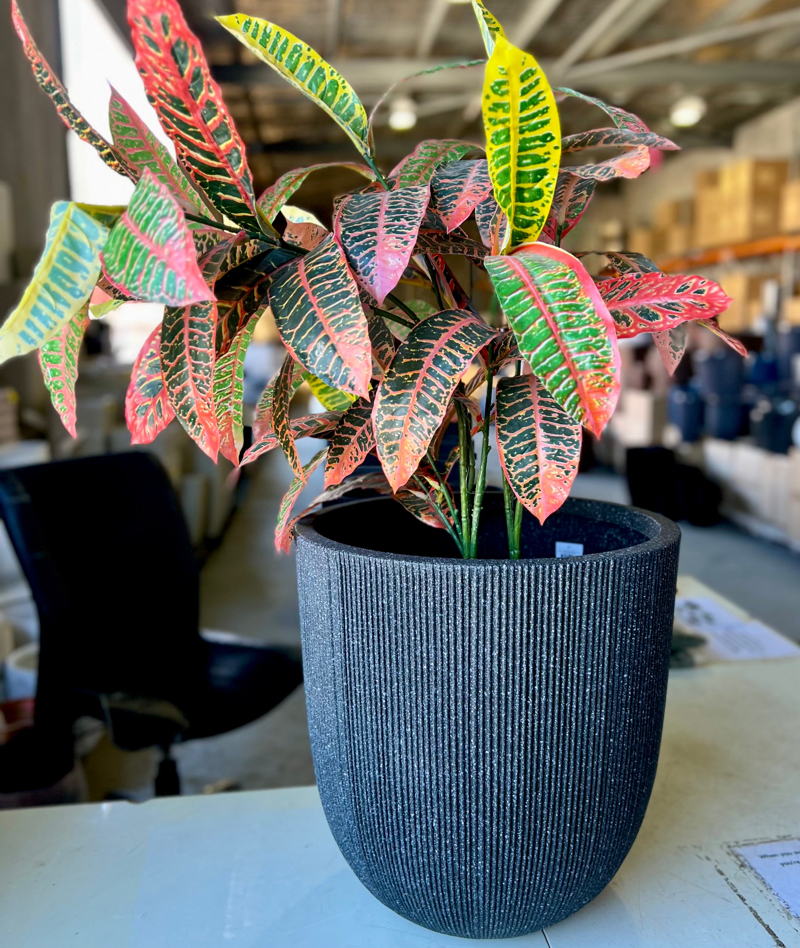 8618 Alicia Pot