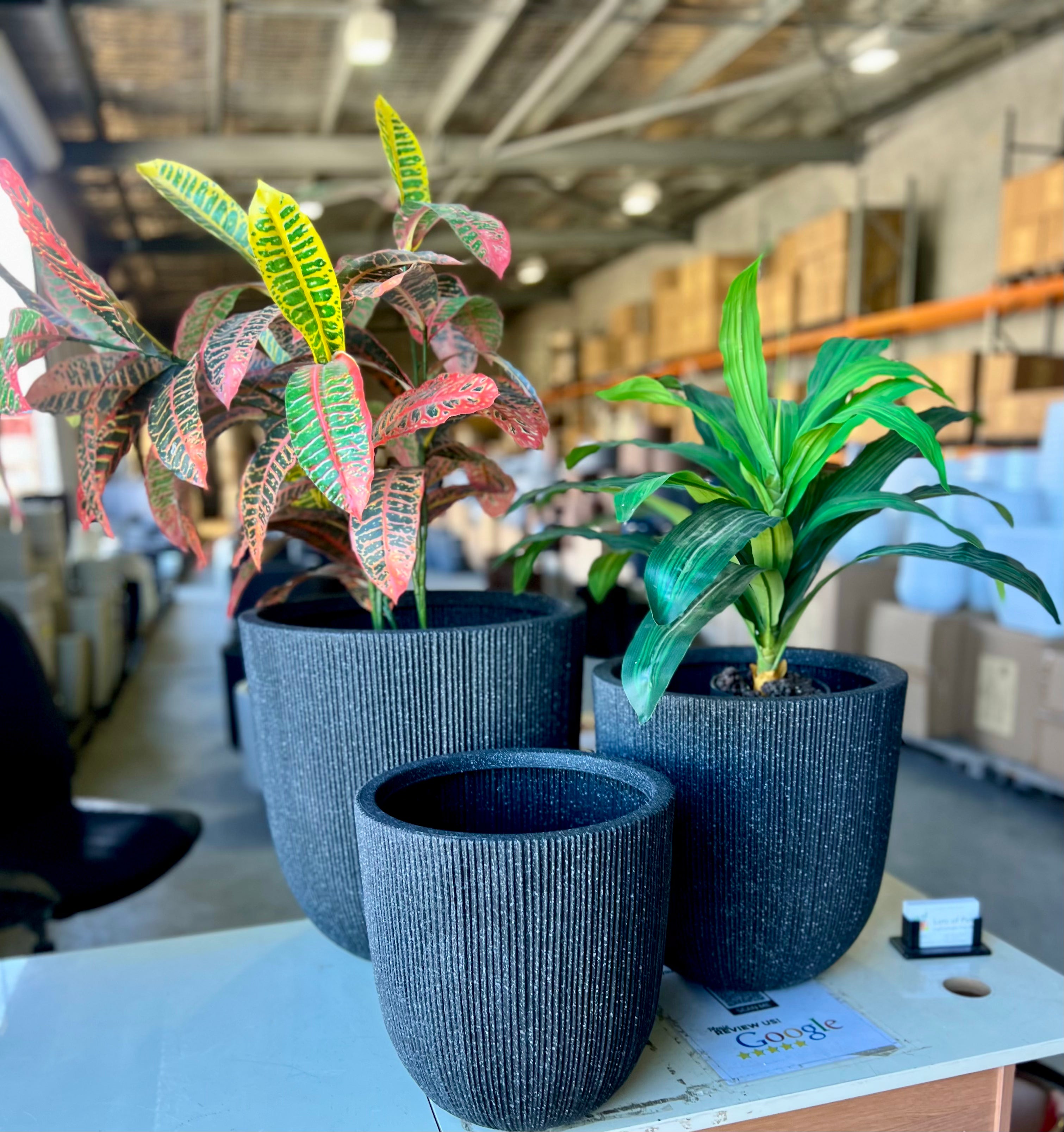 8618 Alicia Pot