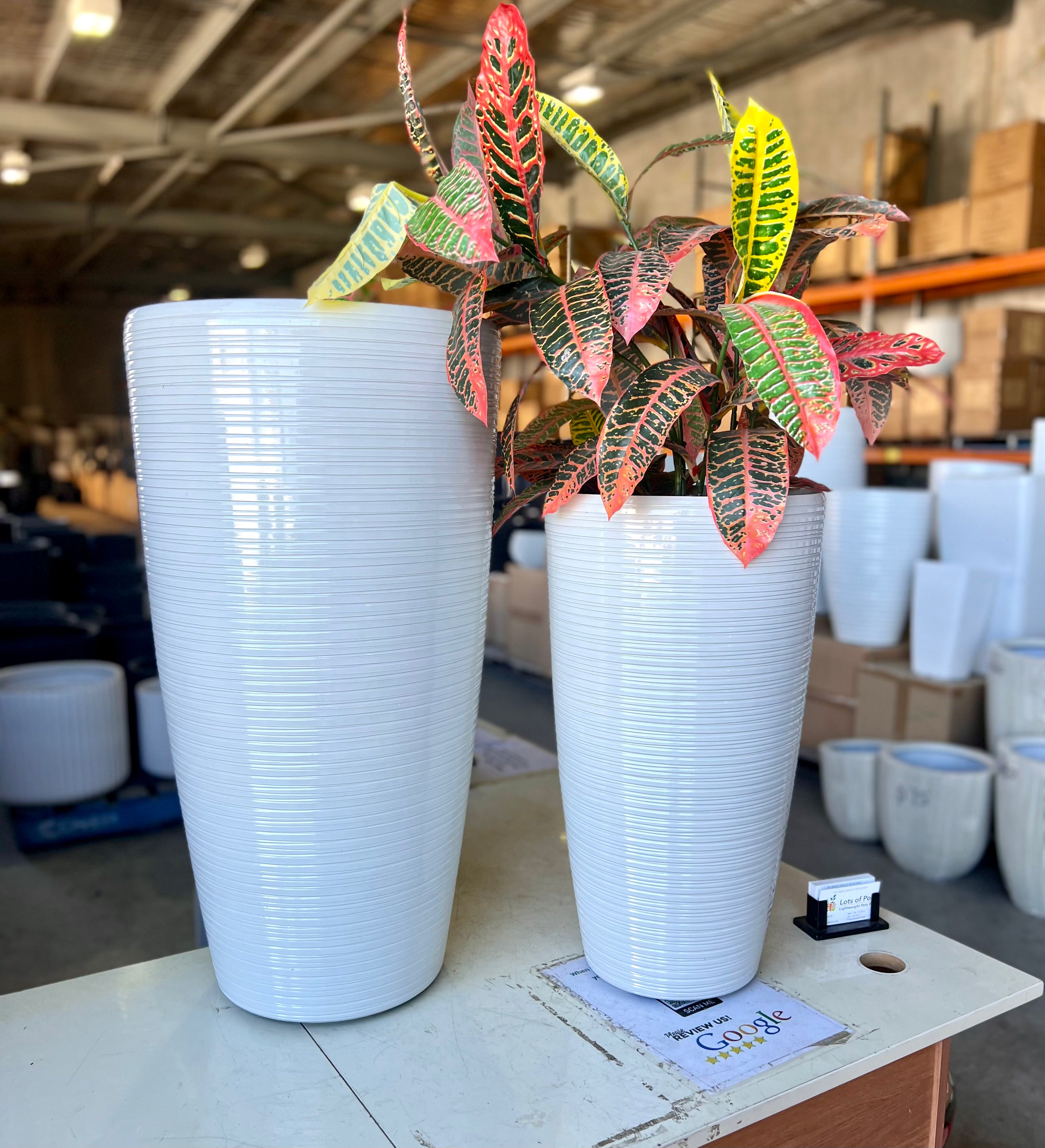 2003 - Pearl White Glaze - Tall Lightweight Glazed Pot