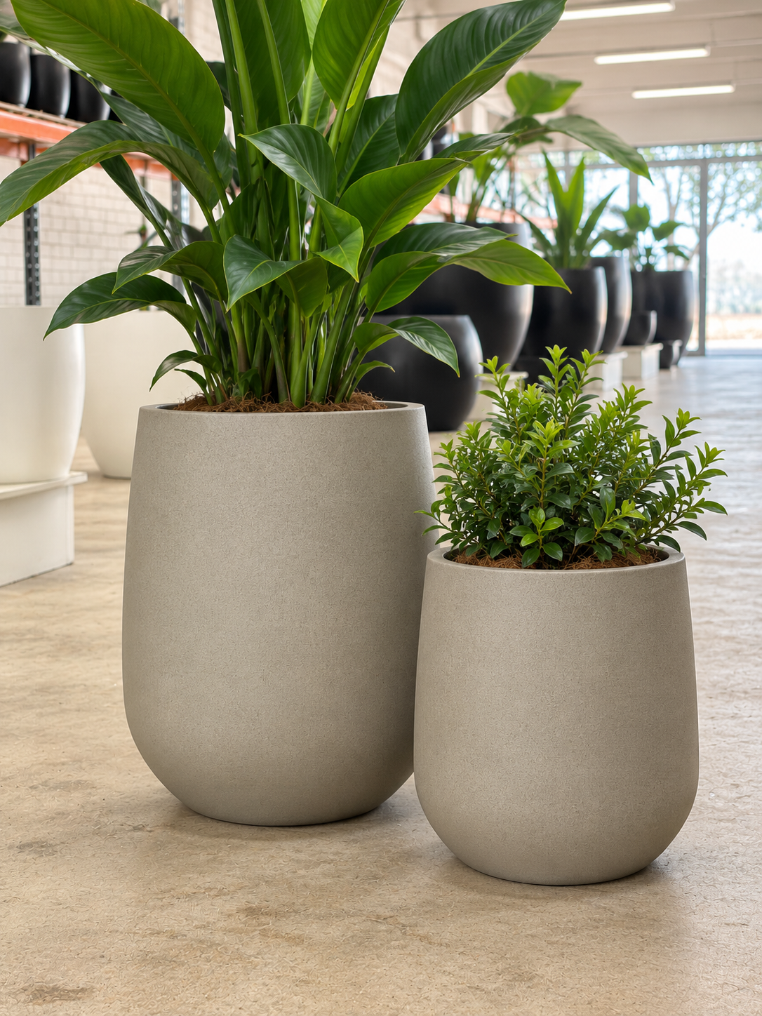 WILSON Planter – Lightweight Indoor and Outdoor Pots