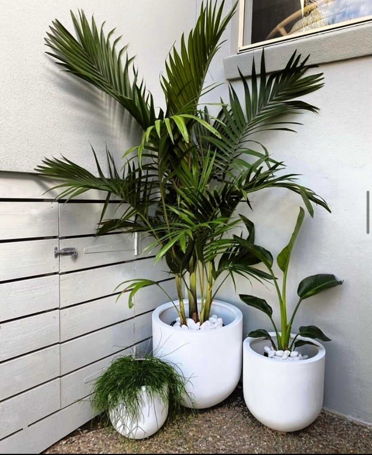 Big Buddha Trio Cluster - Lightweight Round Pot Set