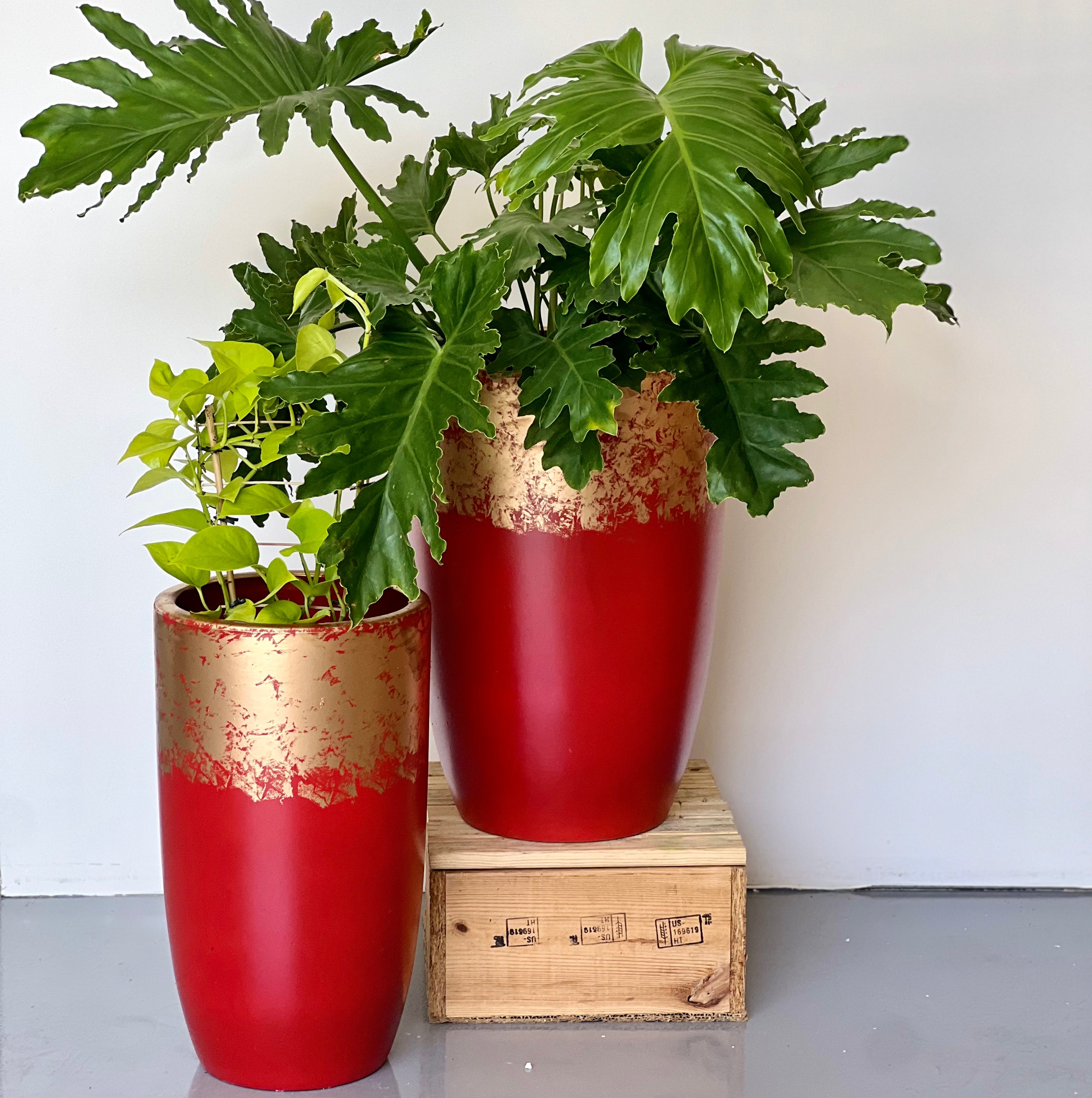 RED & GOLD Tall CL-21