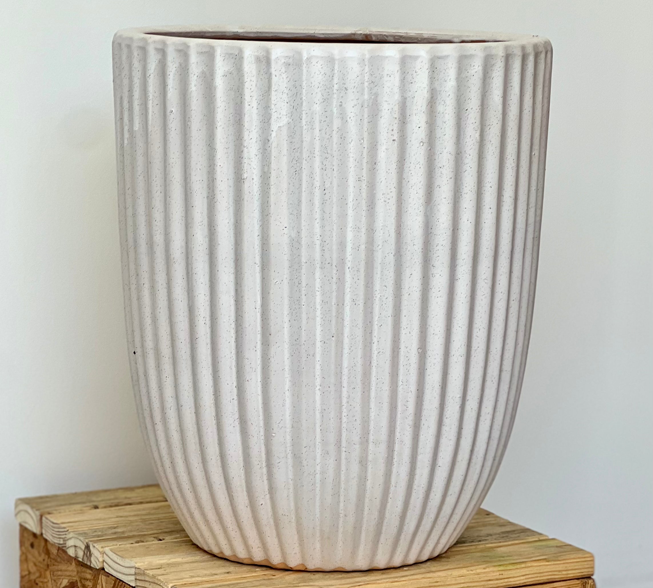 RIBBED Cream CL-11