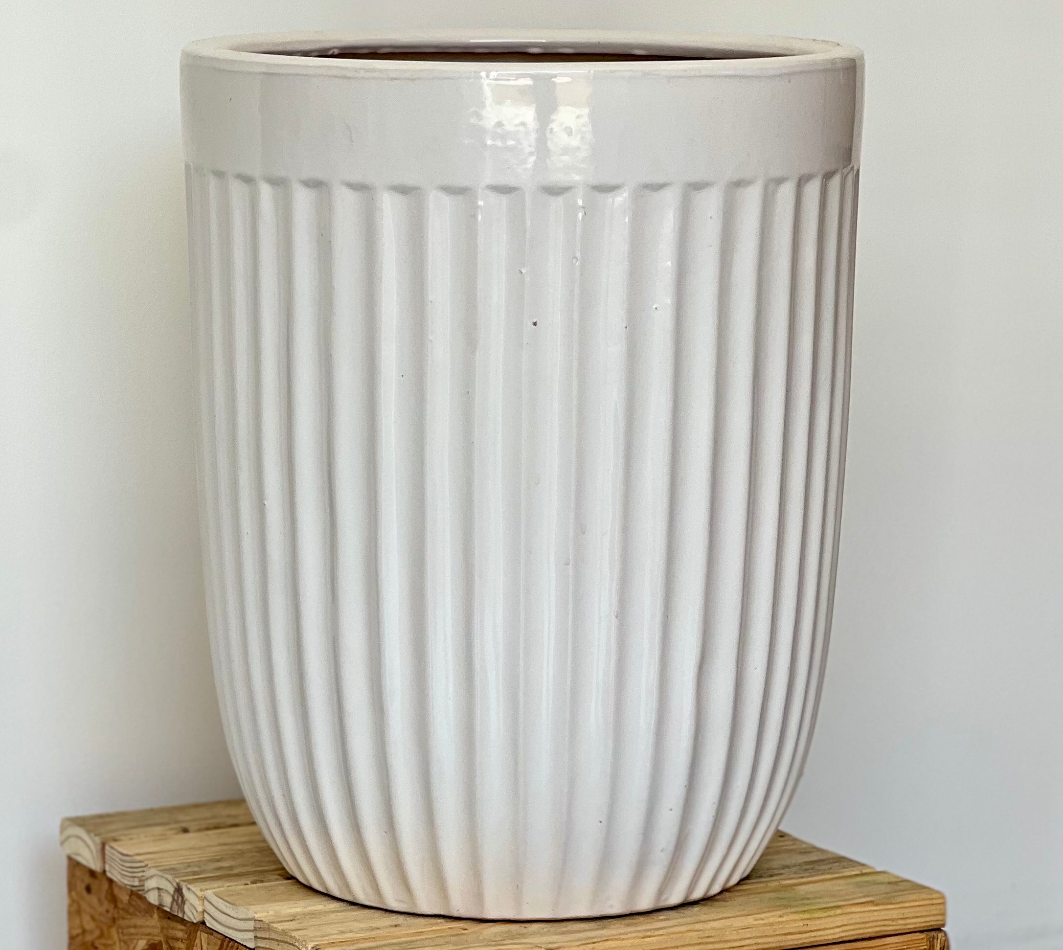 RIBBED Cream with a Rim CL-12