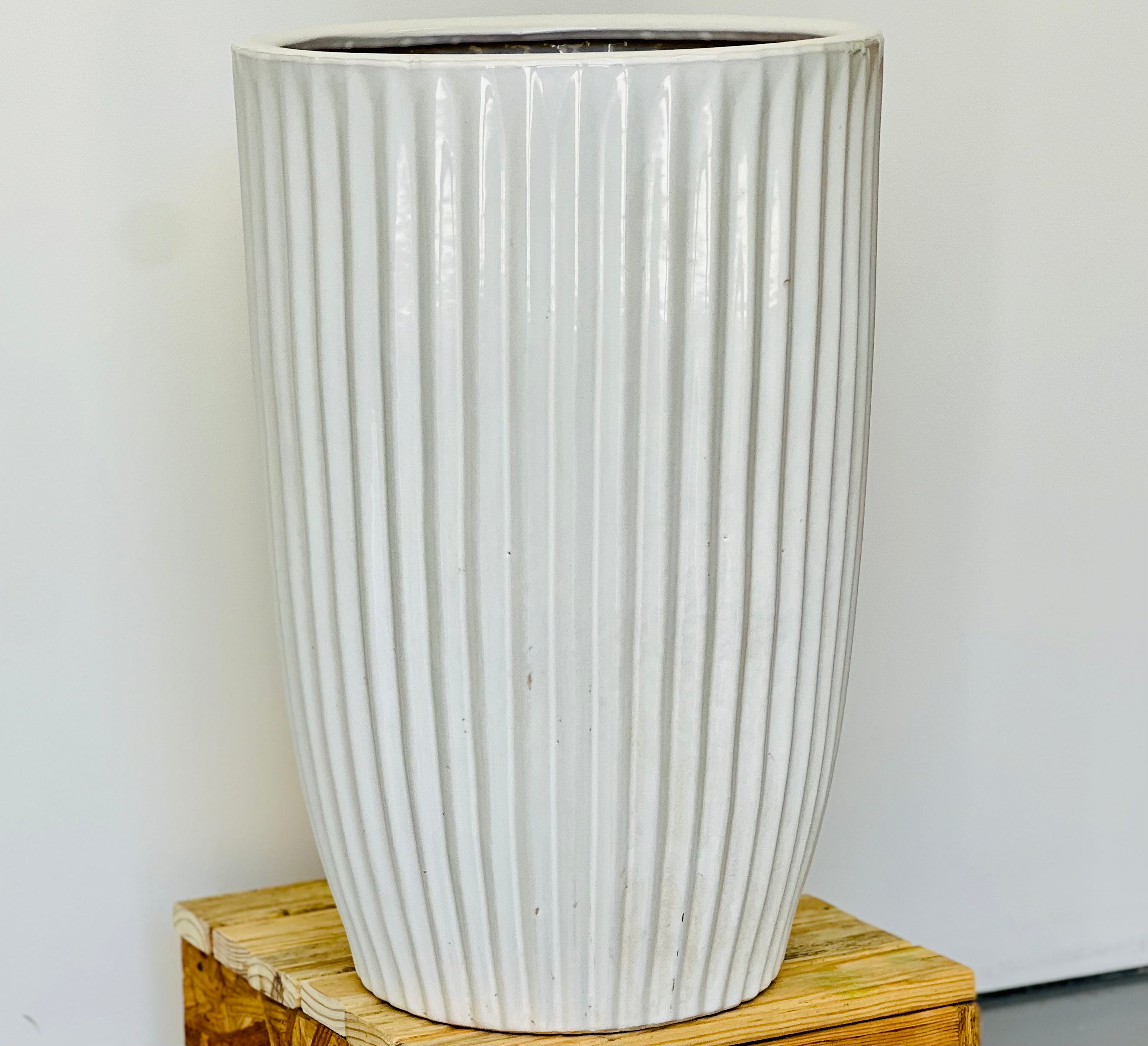 RIBBED Cream Tall CL-24