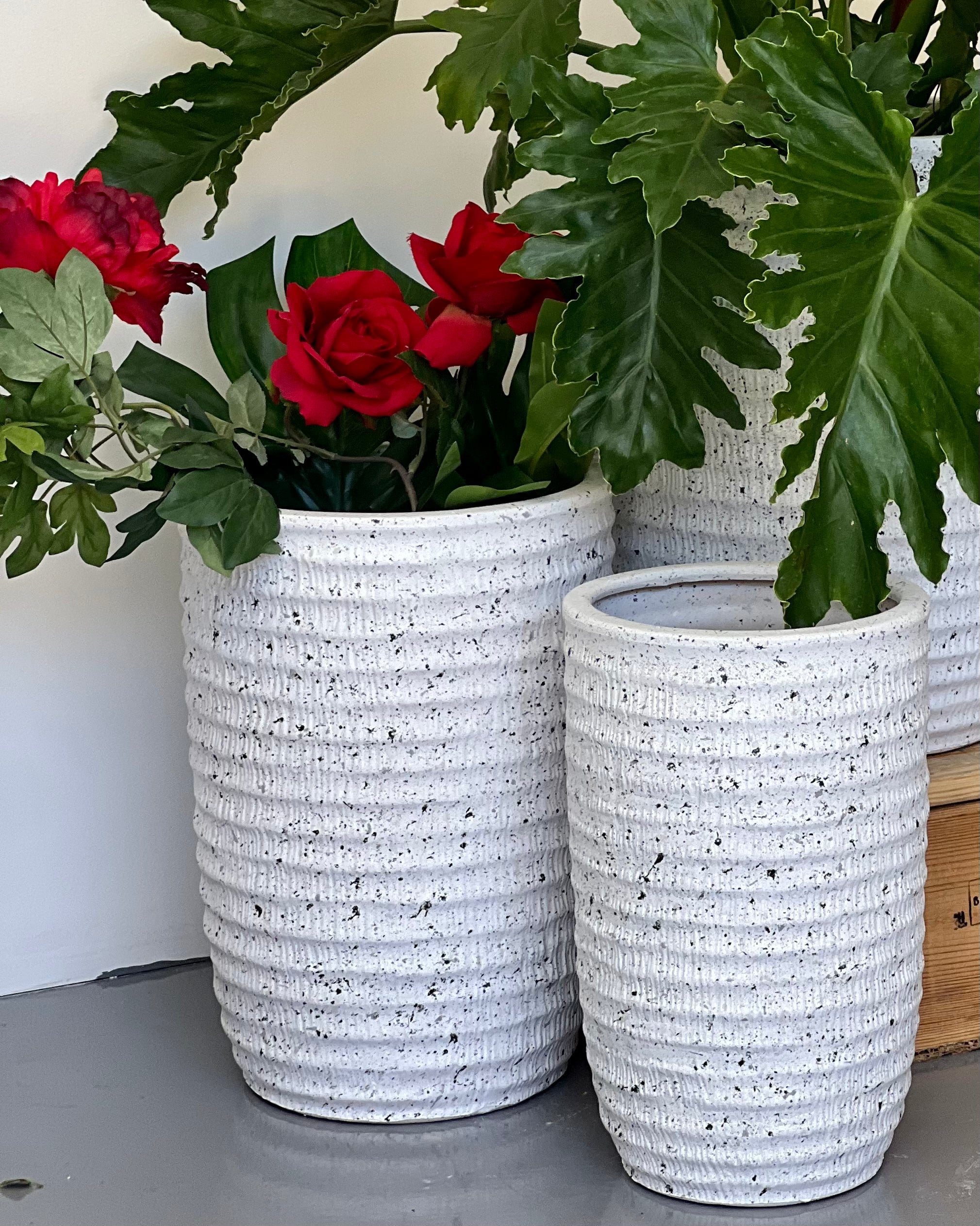 WAVY White CL-31