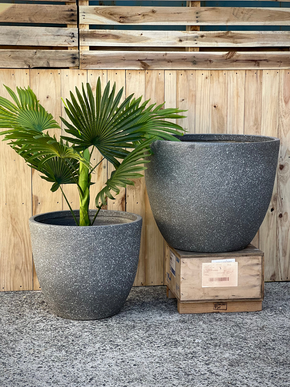 Terrazzo Low Fiberclay Pot Large - lightweight terrazzo finish indoor pot