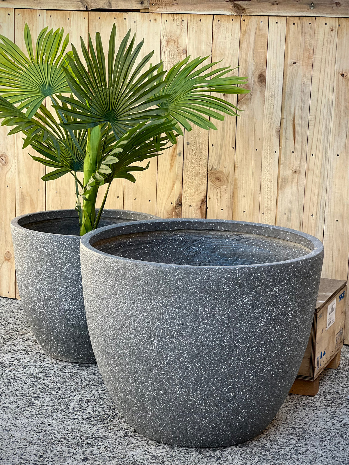 Terrazzo Low Pot styled - lightweight terrazzo fiberclay pot with plant