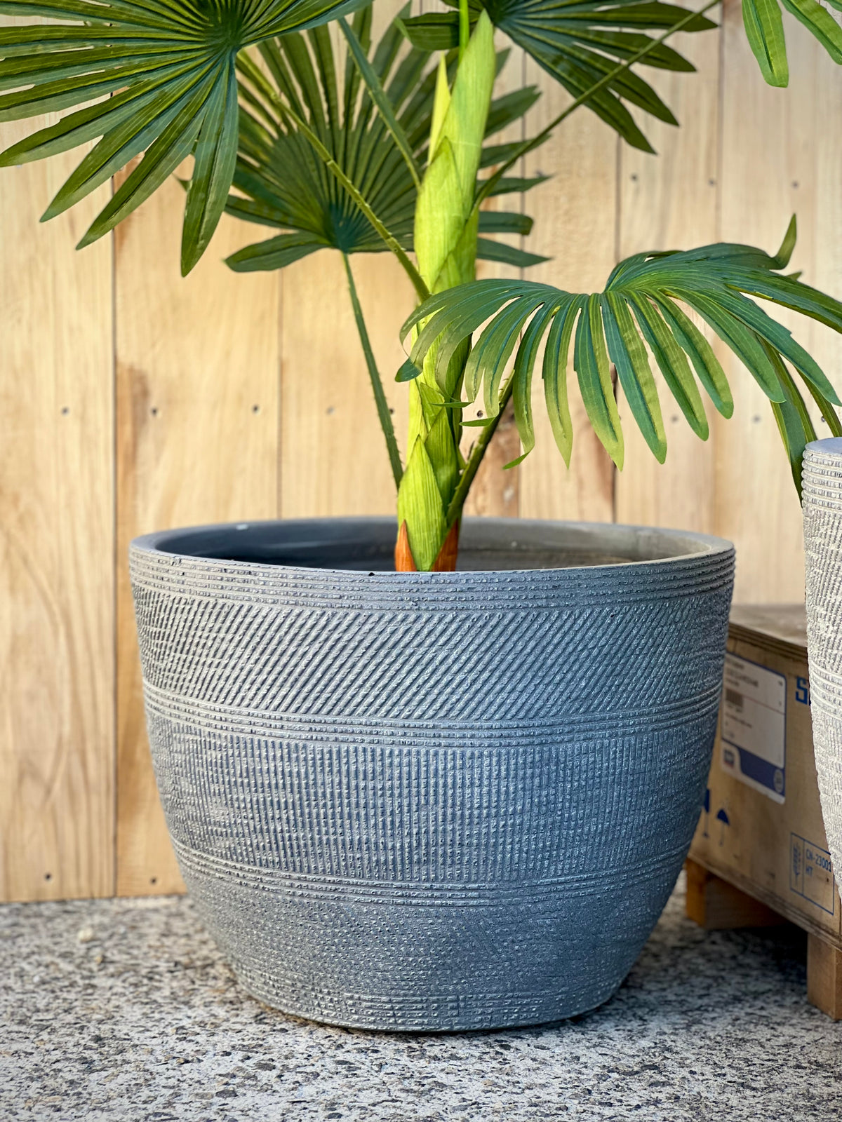 Print Low Pot lifestyle - round print lightweight fiberclay pot with plant