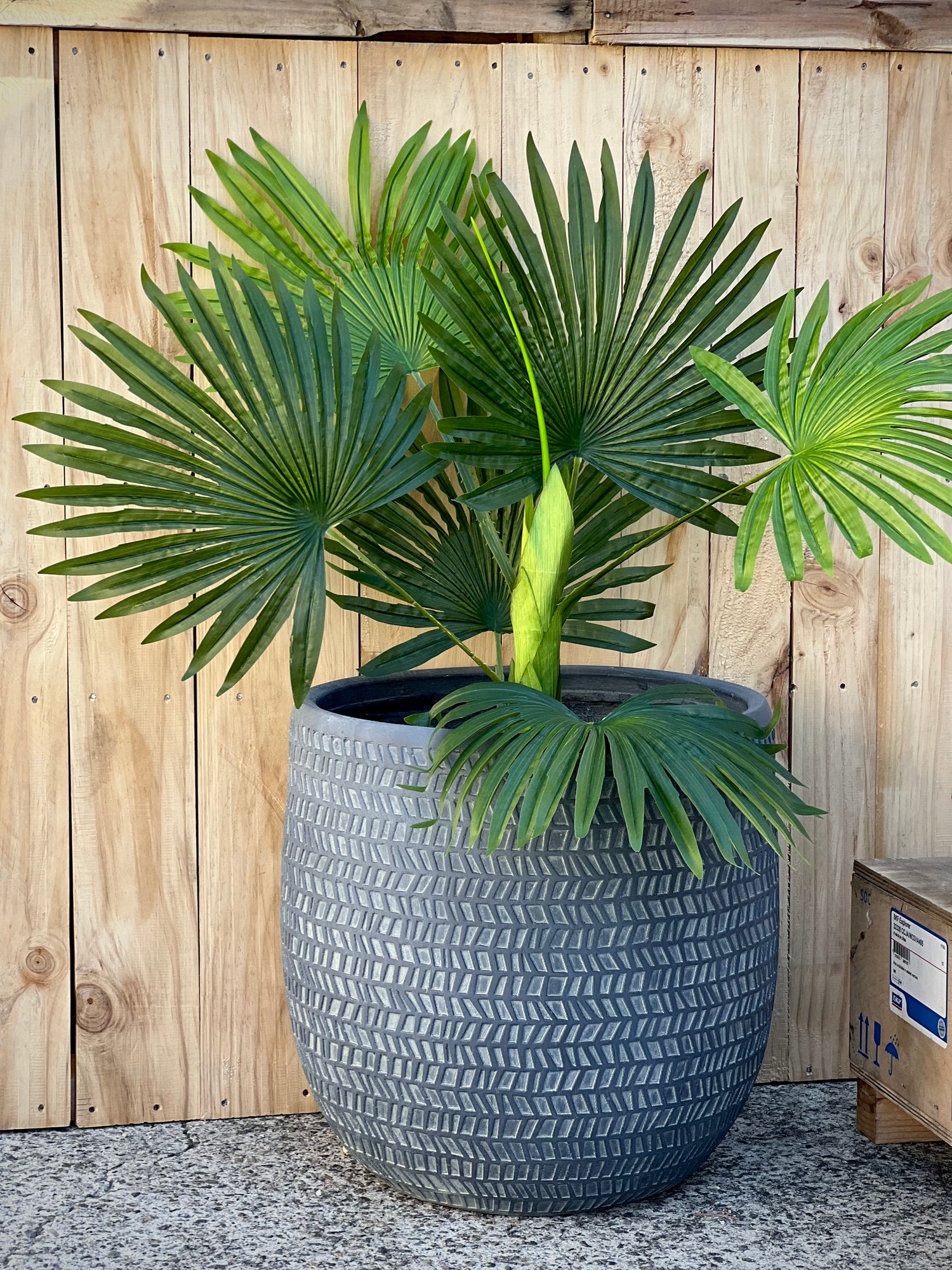 IMPRESSIONS - Indoor or Outdoor  Fiberclay Lightweight Pot with a Print