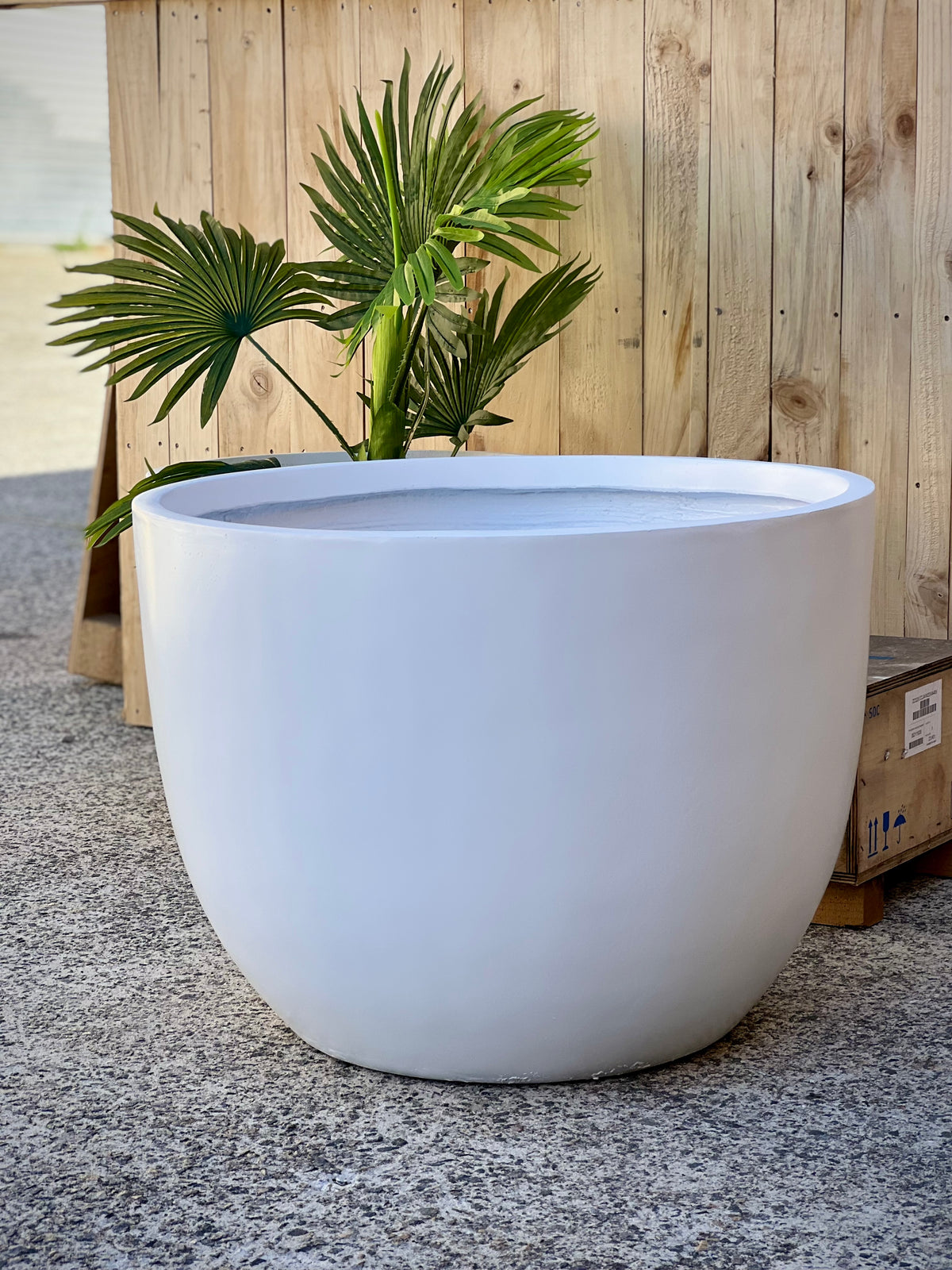 Base Low Pot in use - lightweight low fiberclay pot with succulent