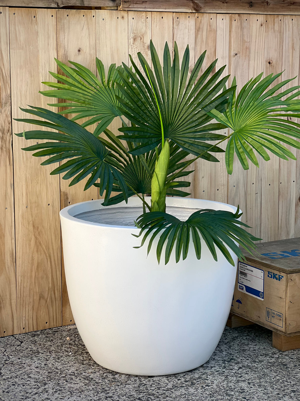Base Low Pot styled outdoors - lightweight low smooth fiberclay pot