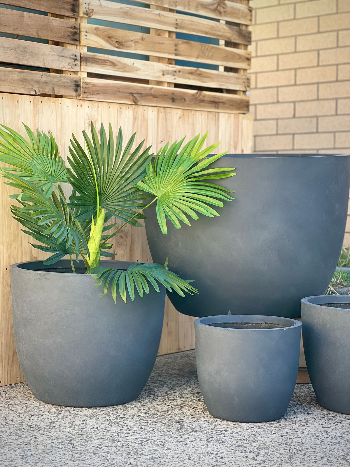 Base Low Pot lifestyle - lightweight smooth low fiberclay pots styled