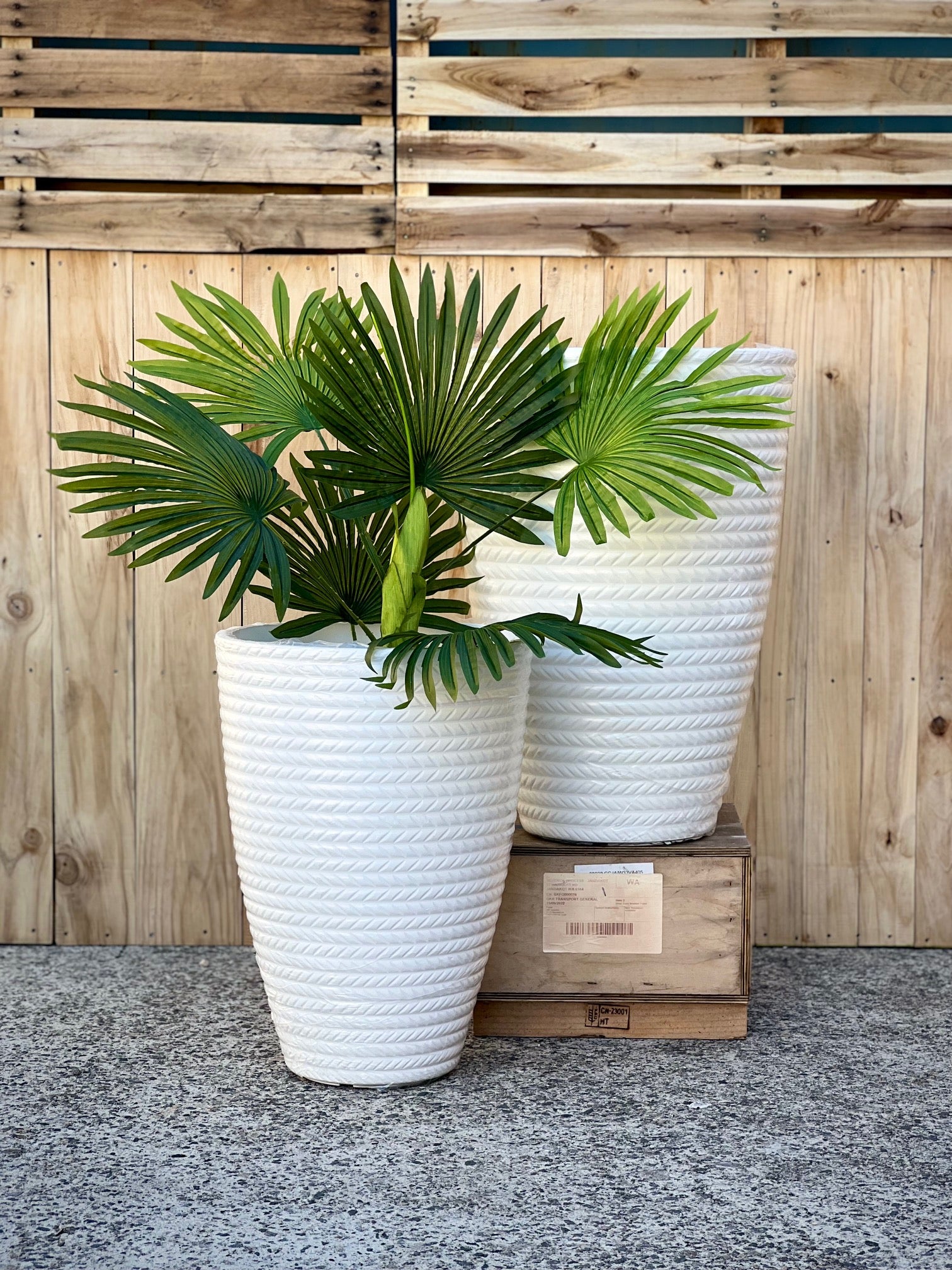 2197 Bradie Pot