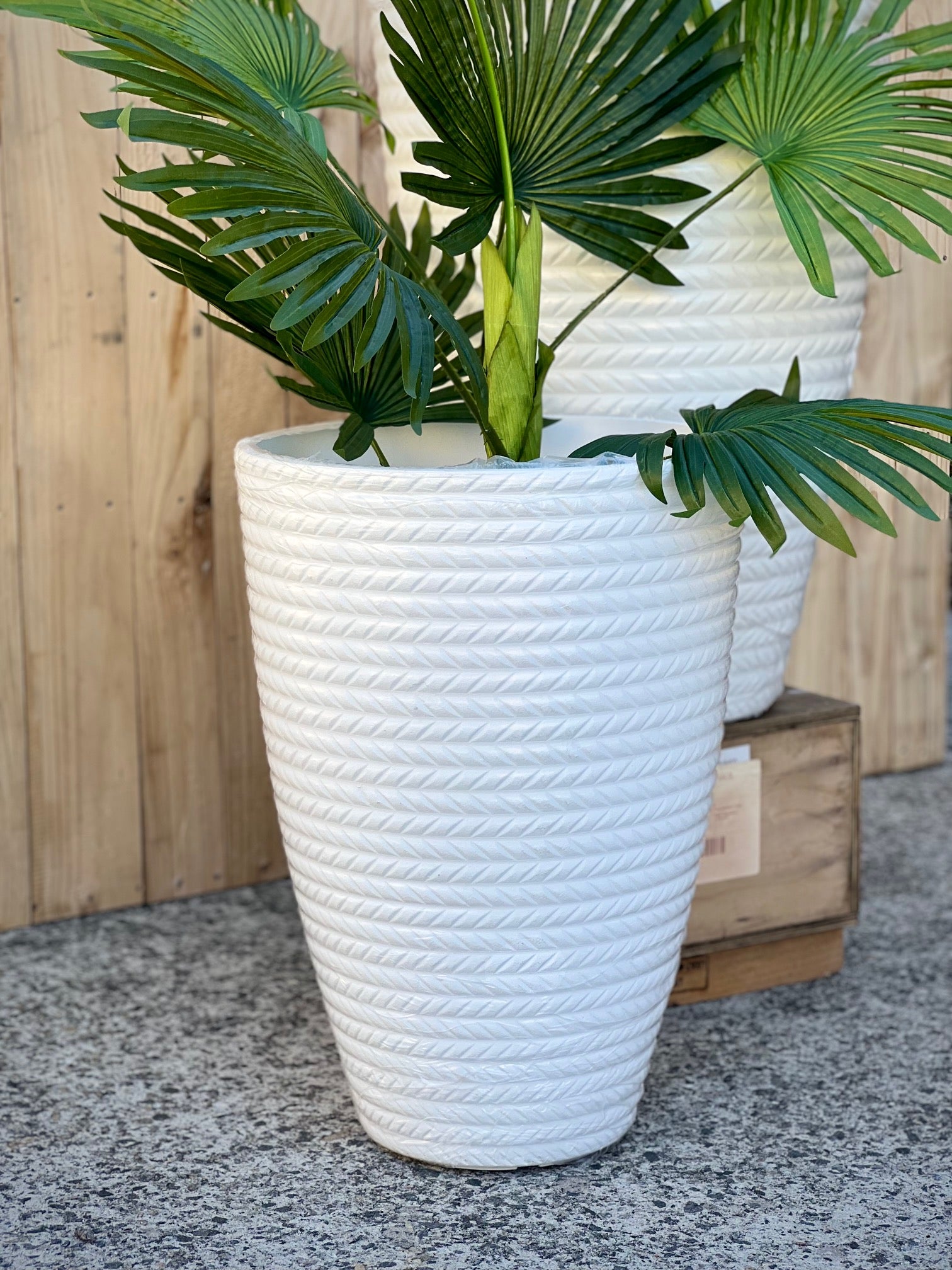 2197 Bradie Pot
