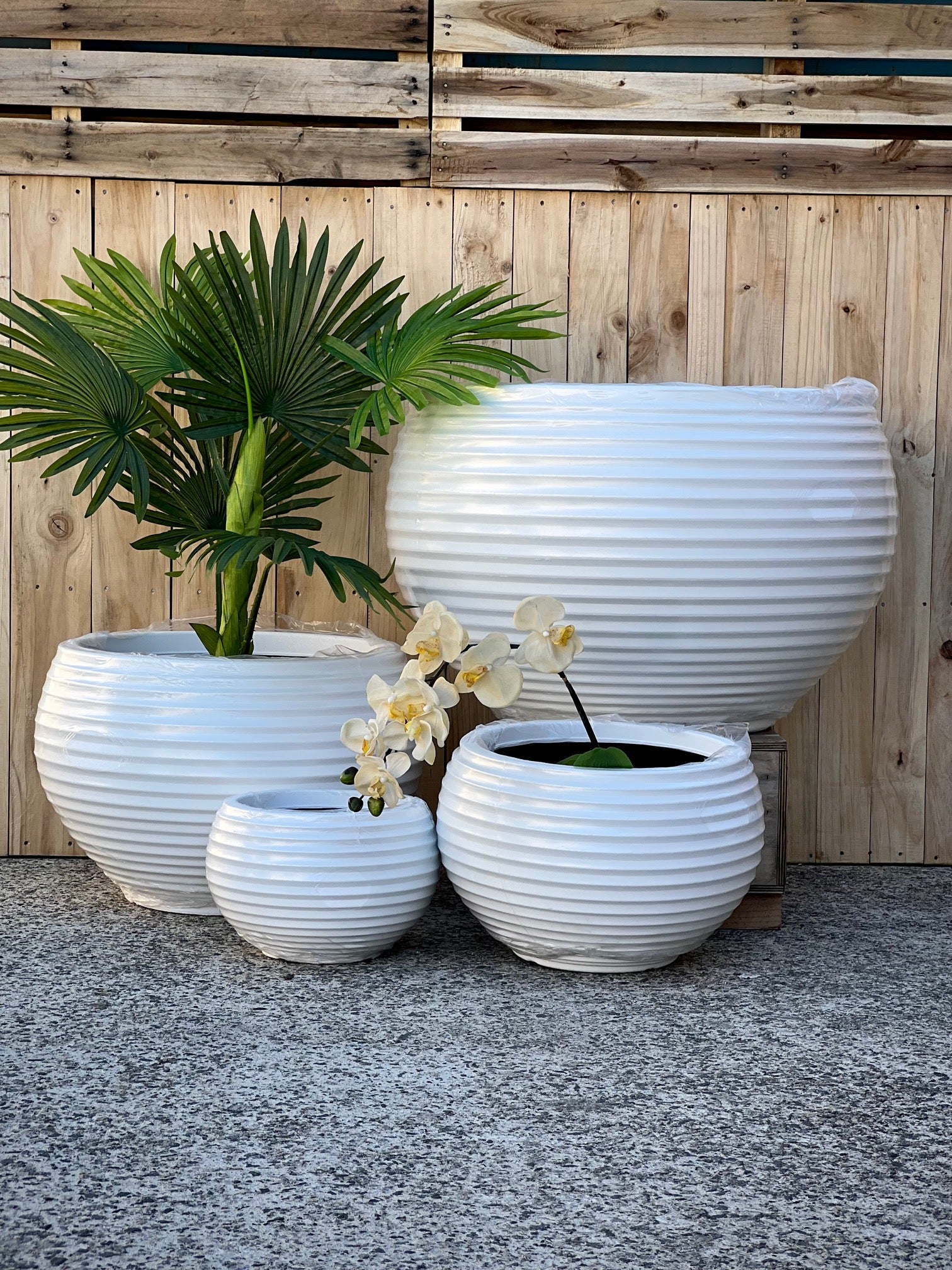 8601 Tiana Pot