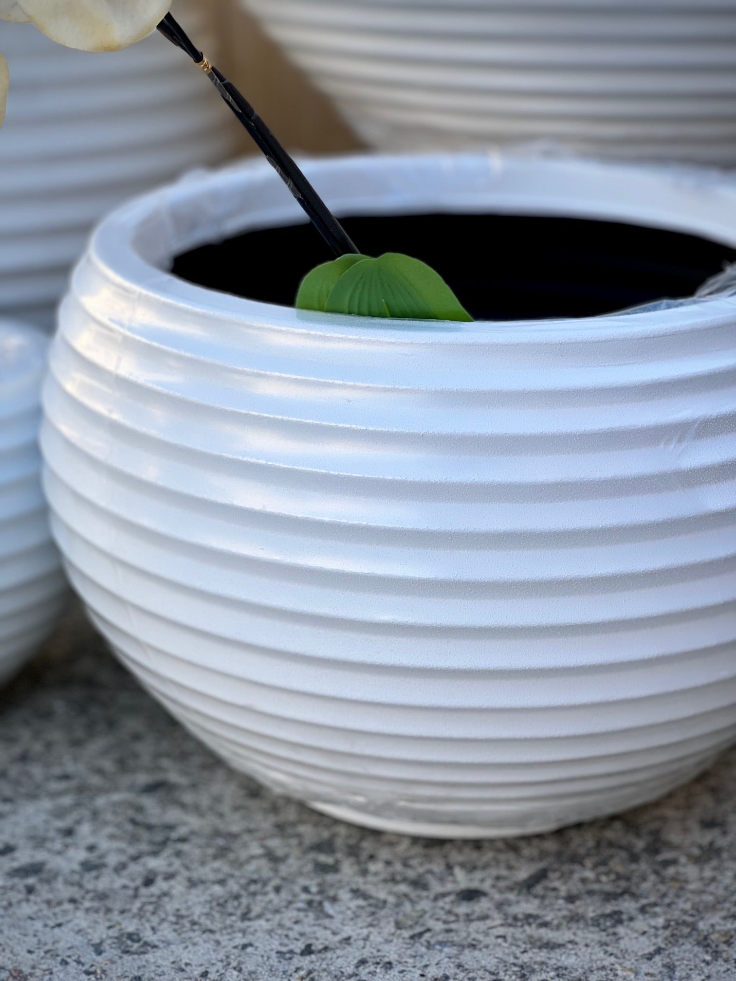8601 Tiana Pot