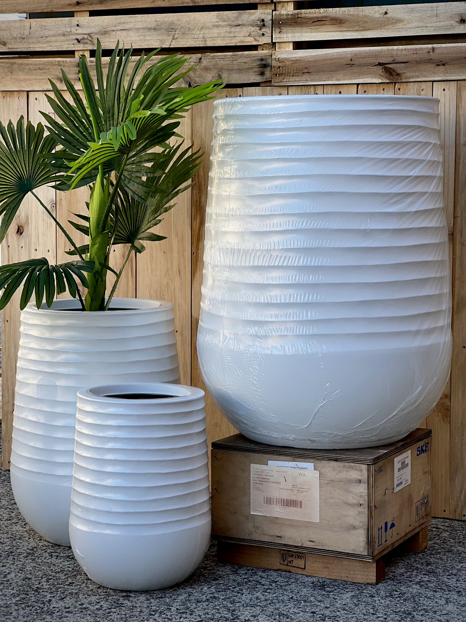 8604 Sophie Pot