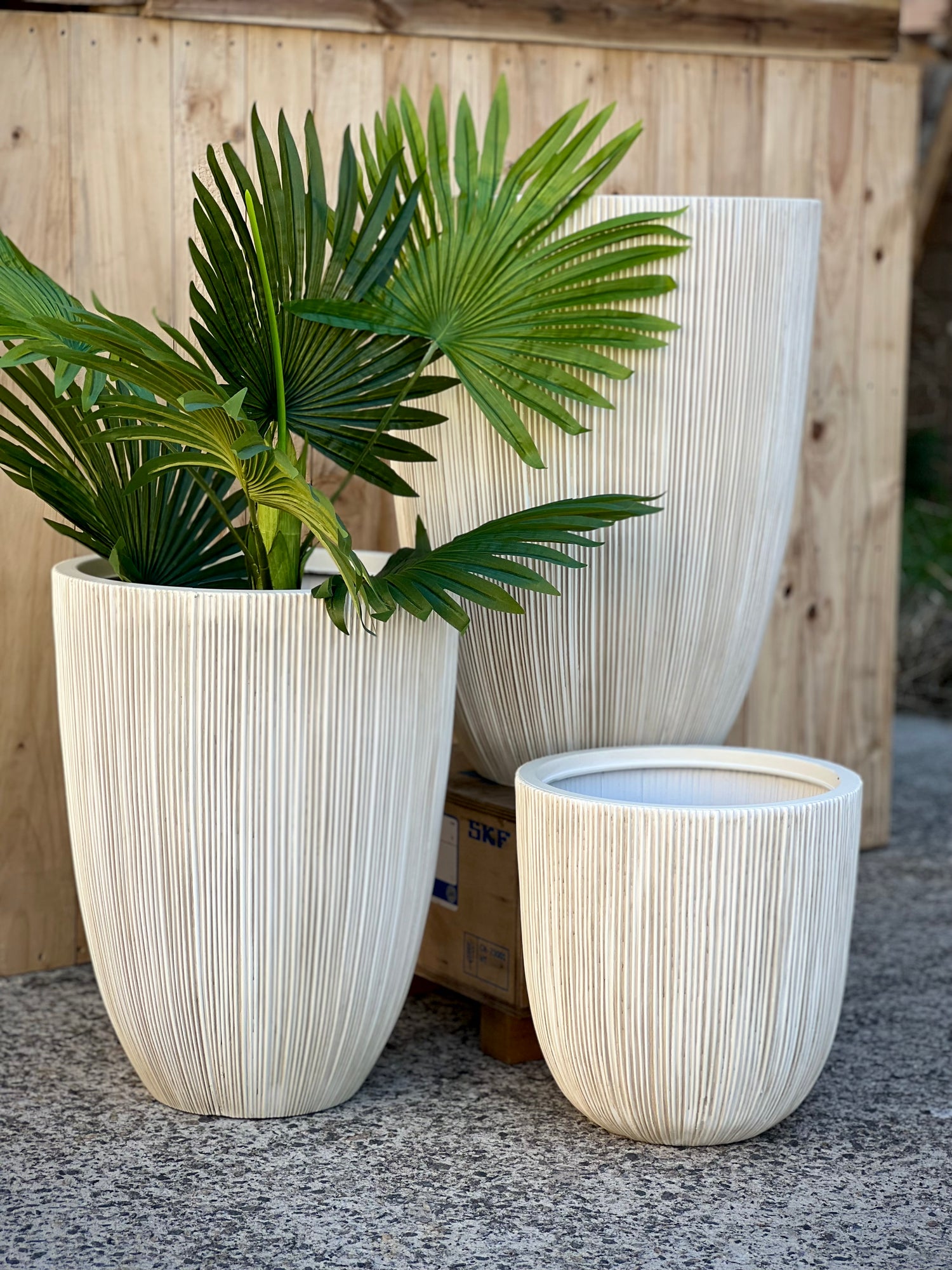 8618 Alicia Pot