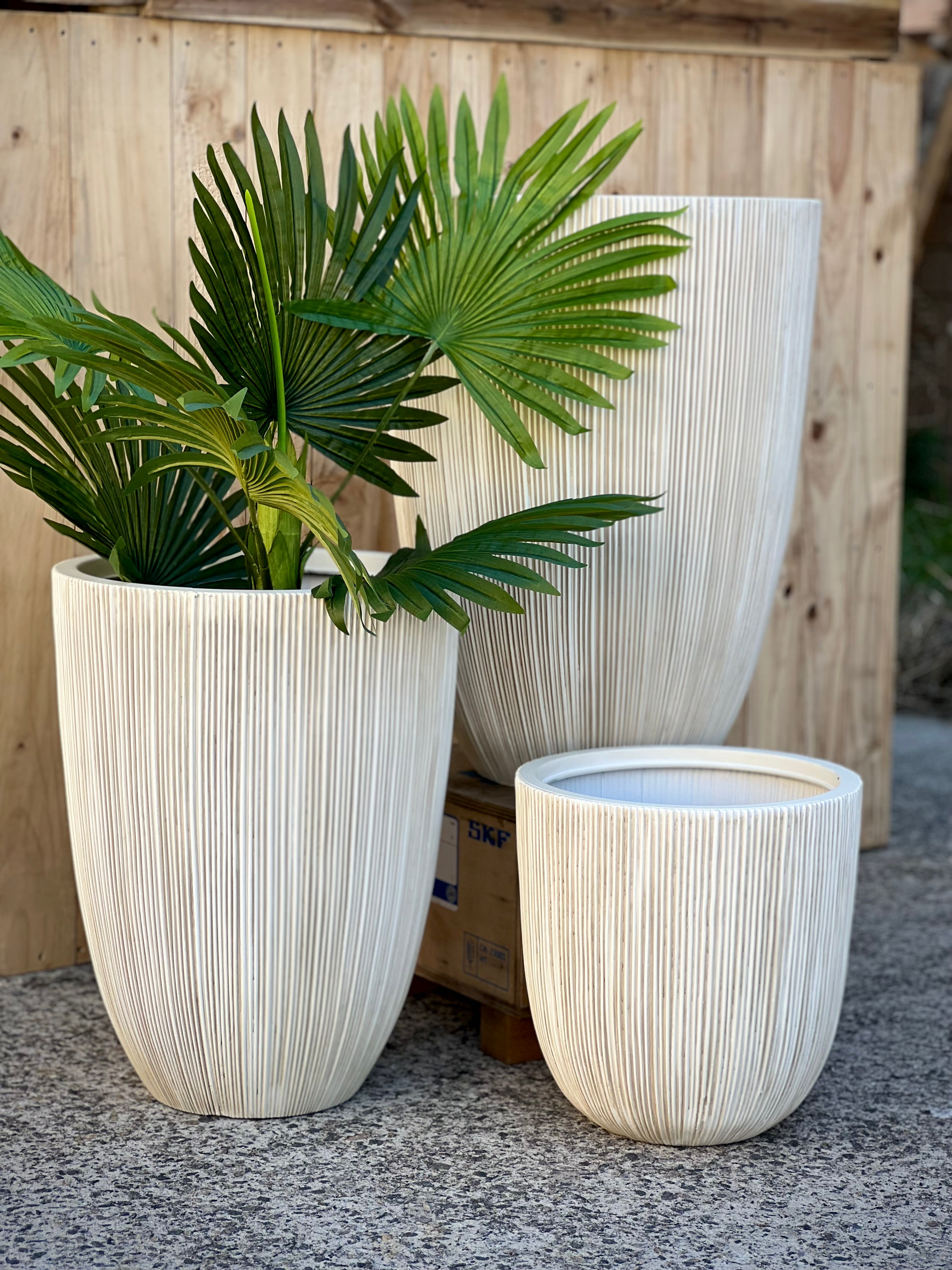 8618 Alicia Pot