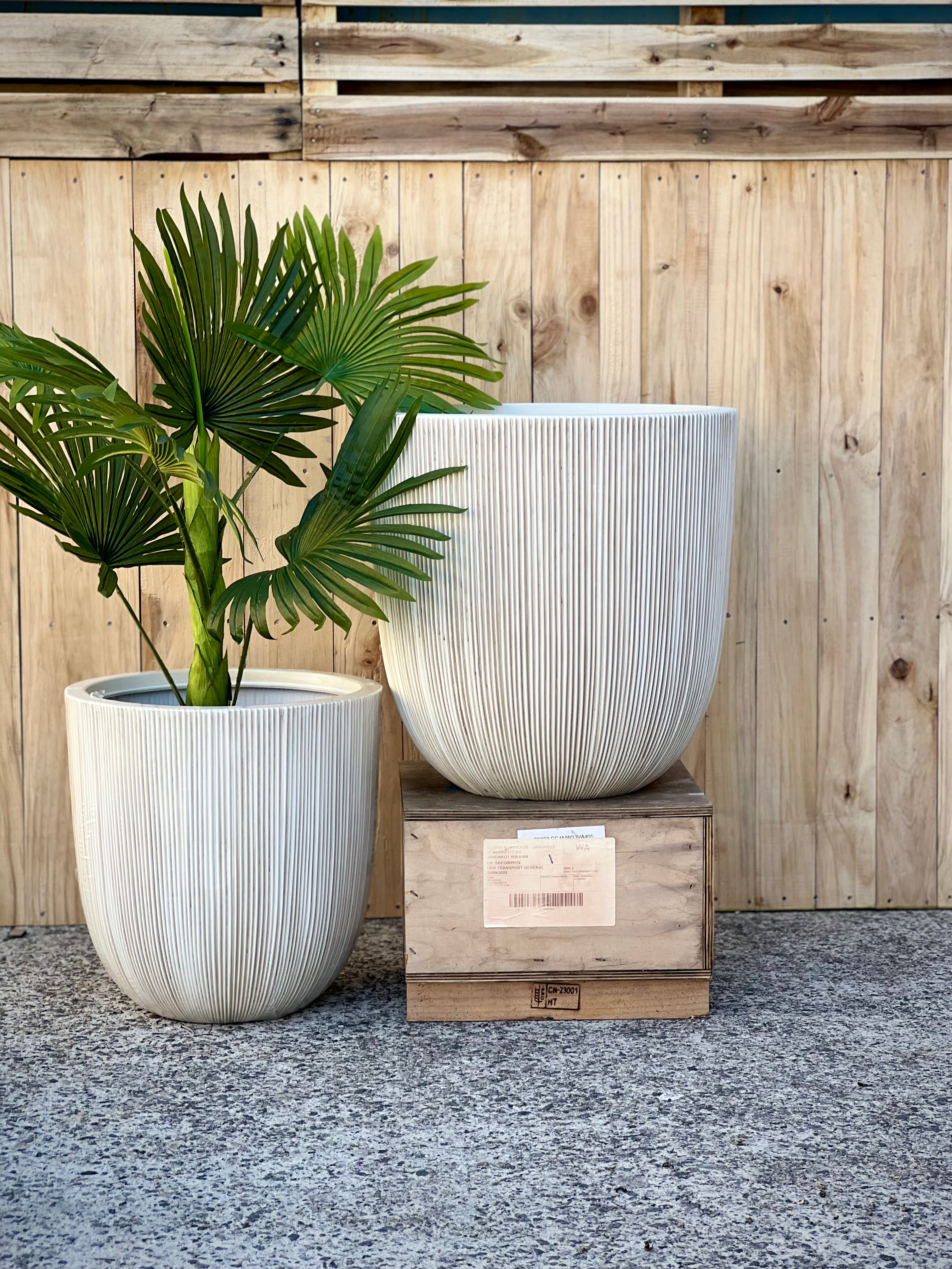 8618 Alicia Pot