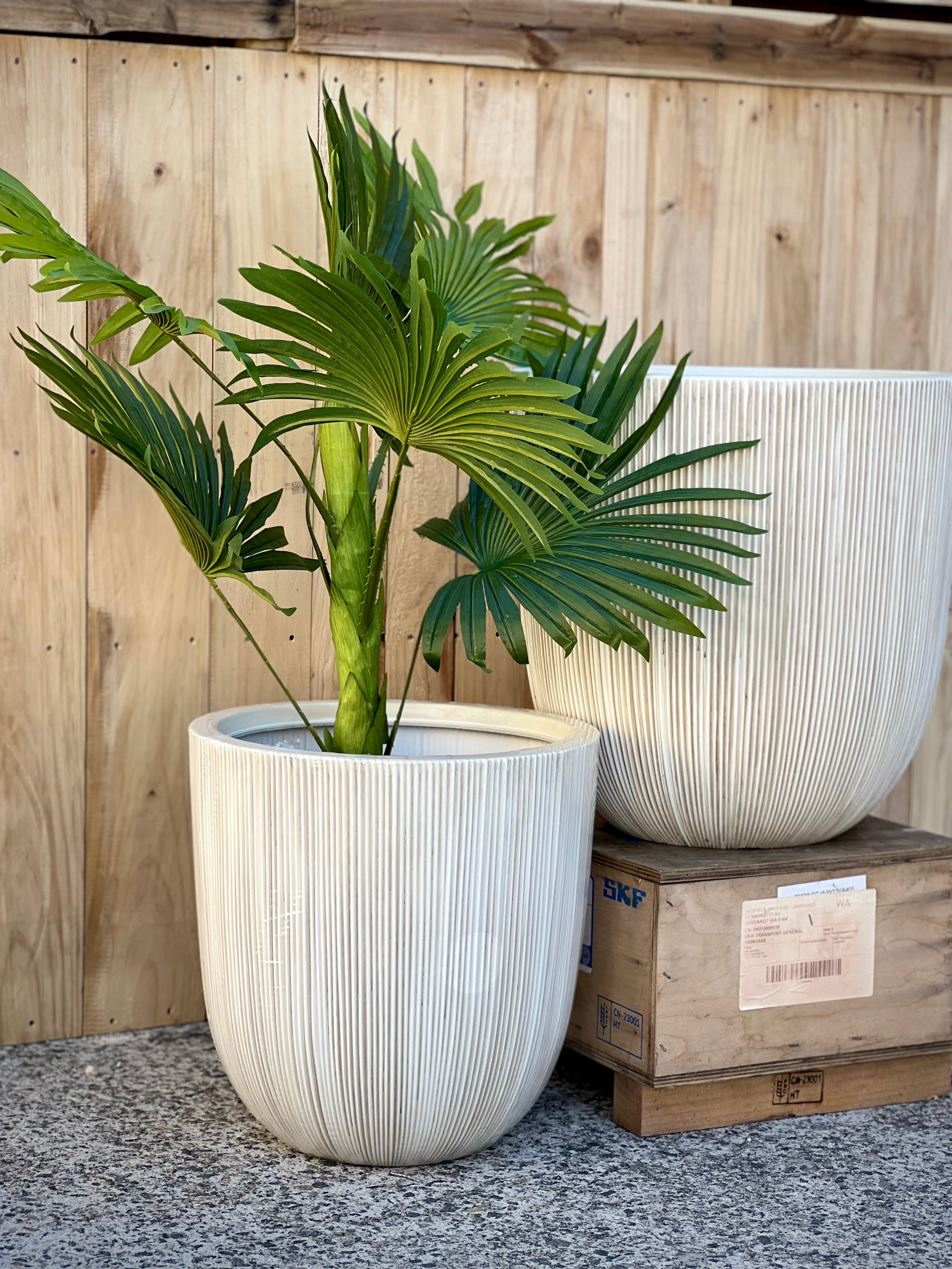 8618 Alicia Pot