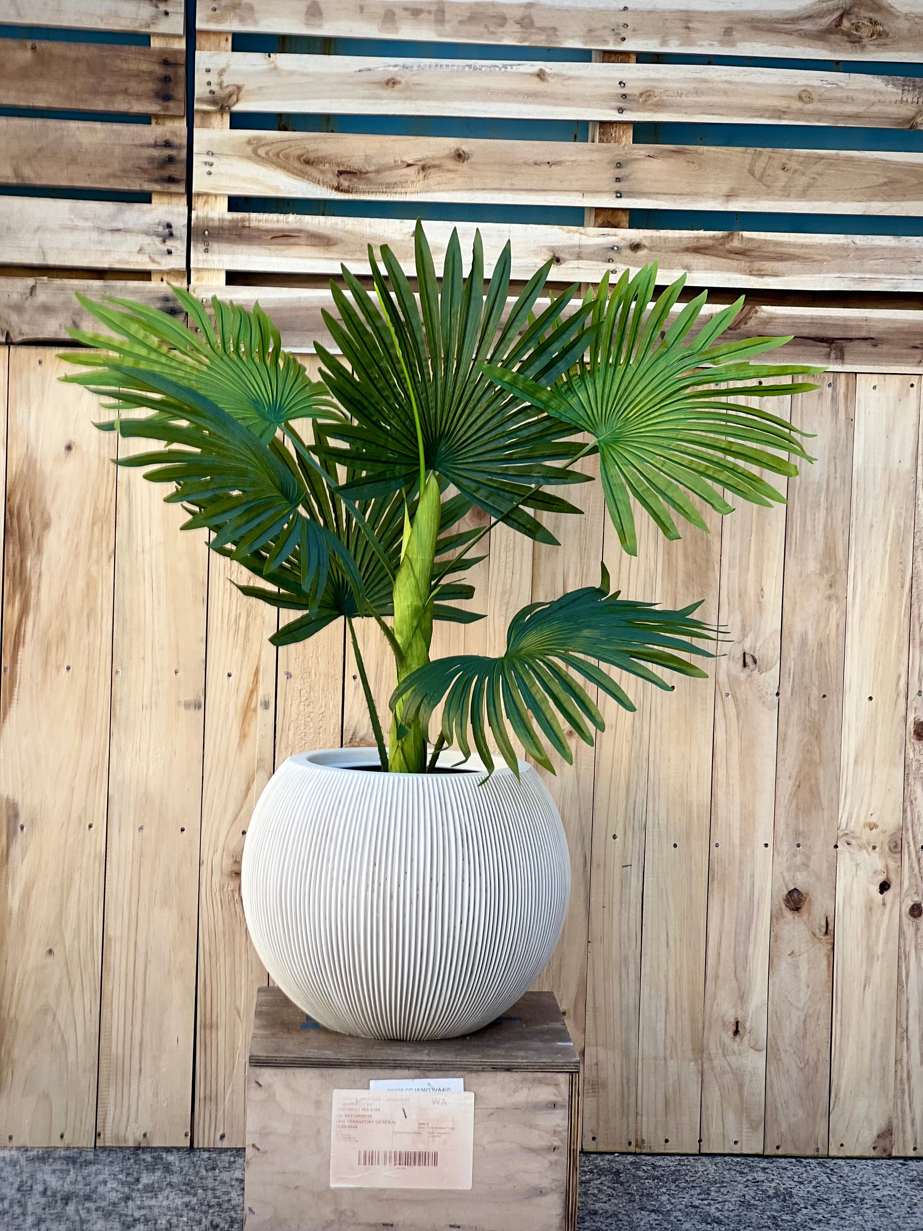 8620 Rondie Pot