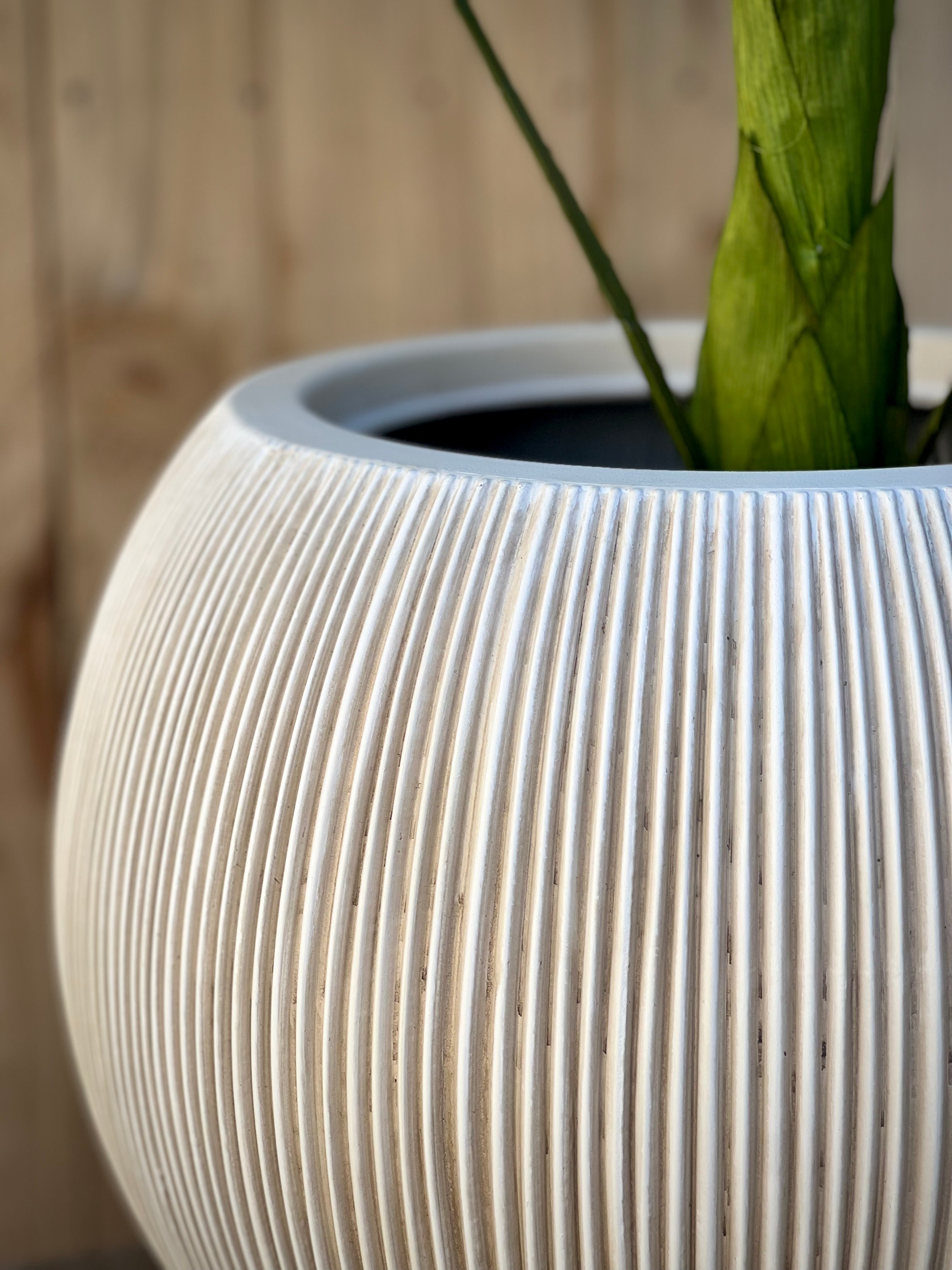 8620 Rondie Pot