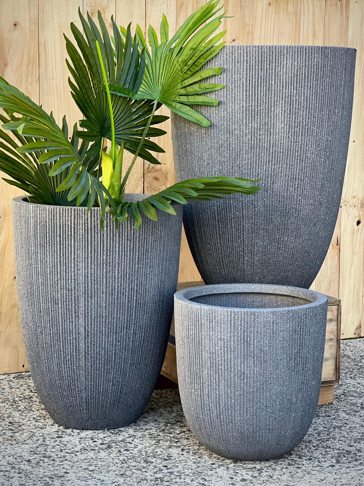 8618 Alicia Pot