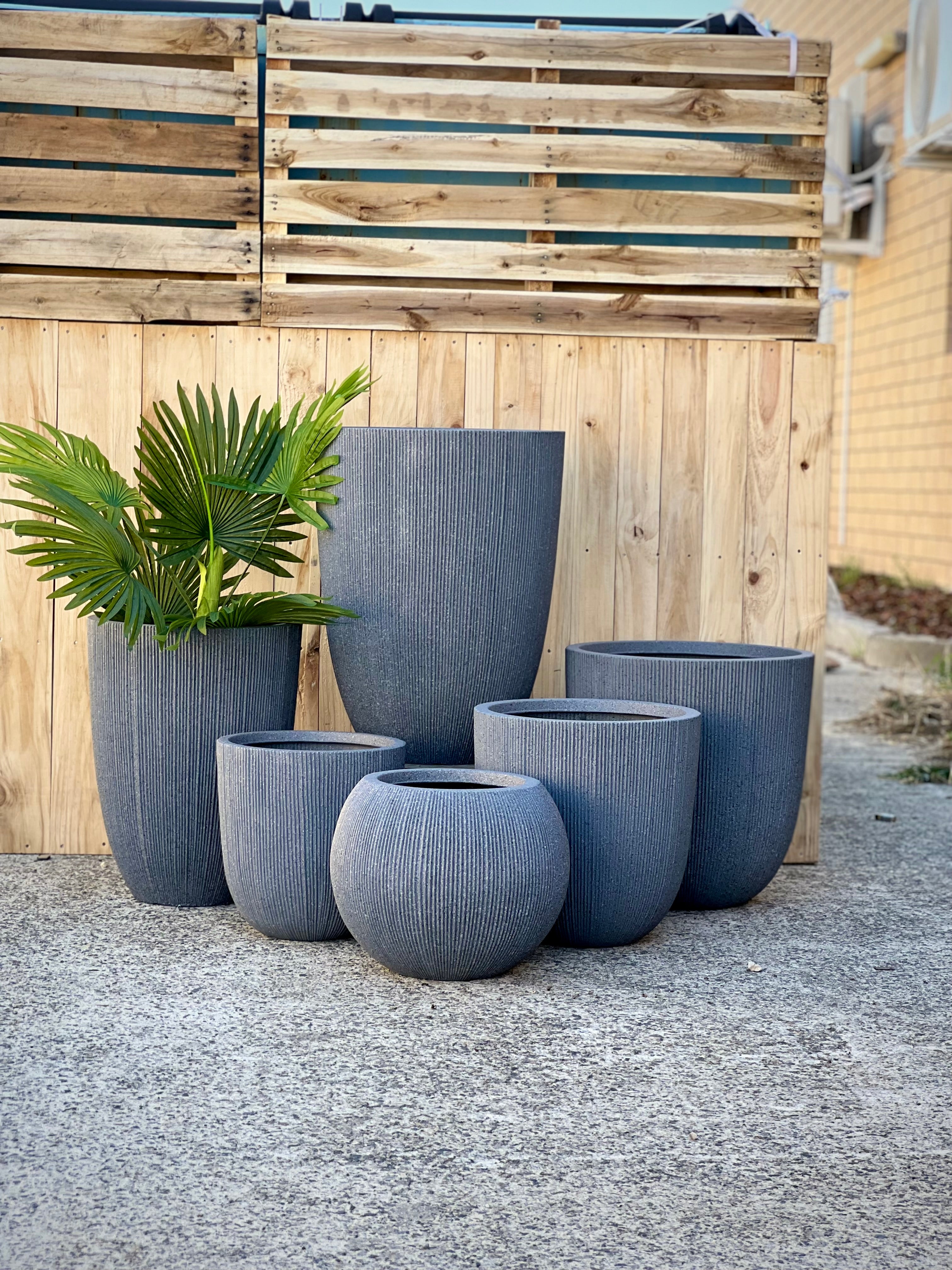 8618 Alicia Pot