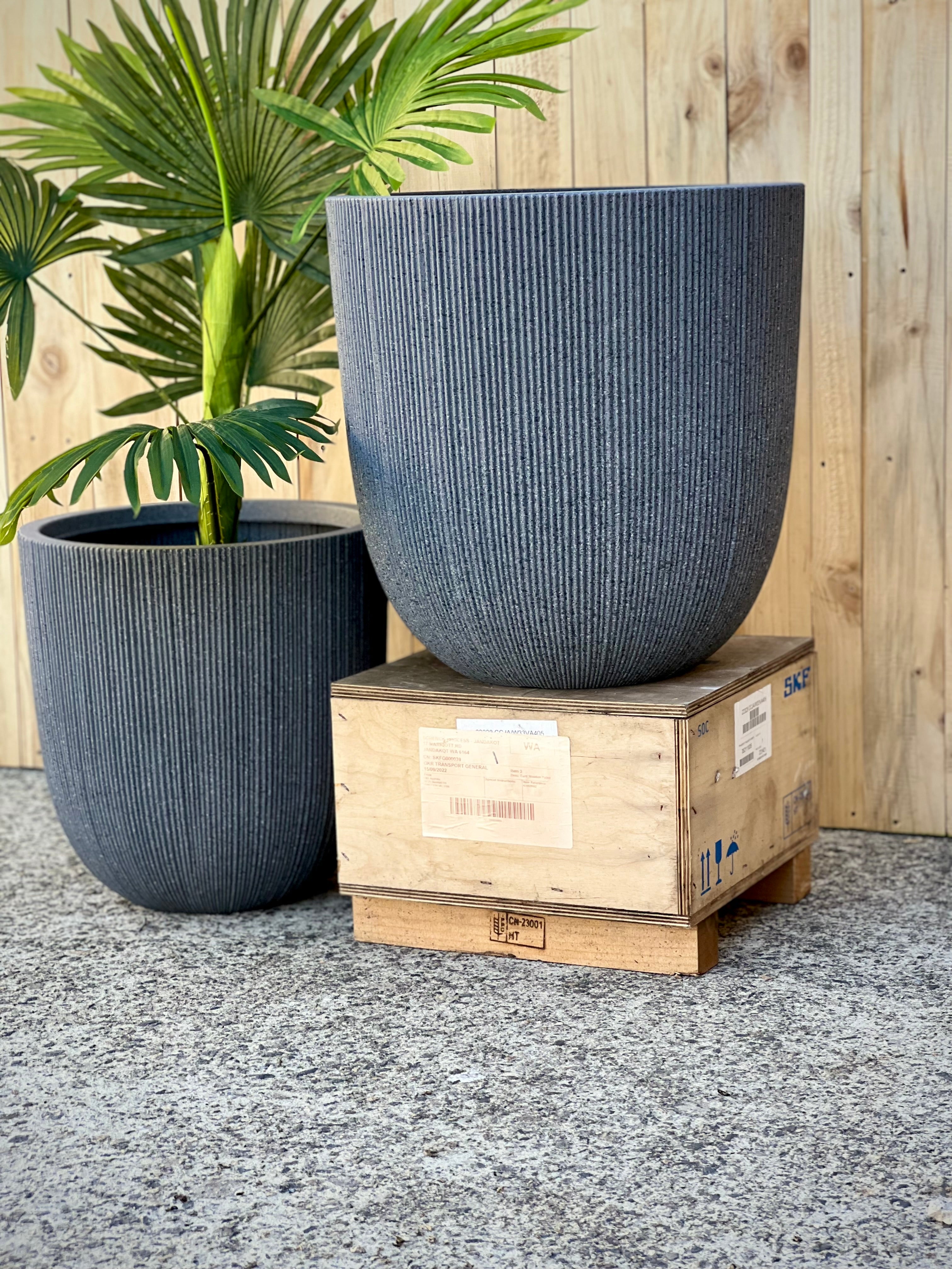 8618 Alicia Pot