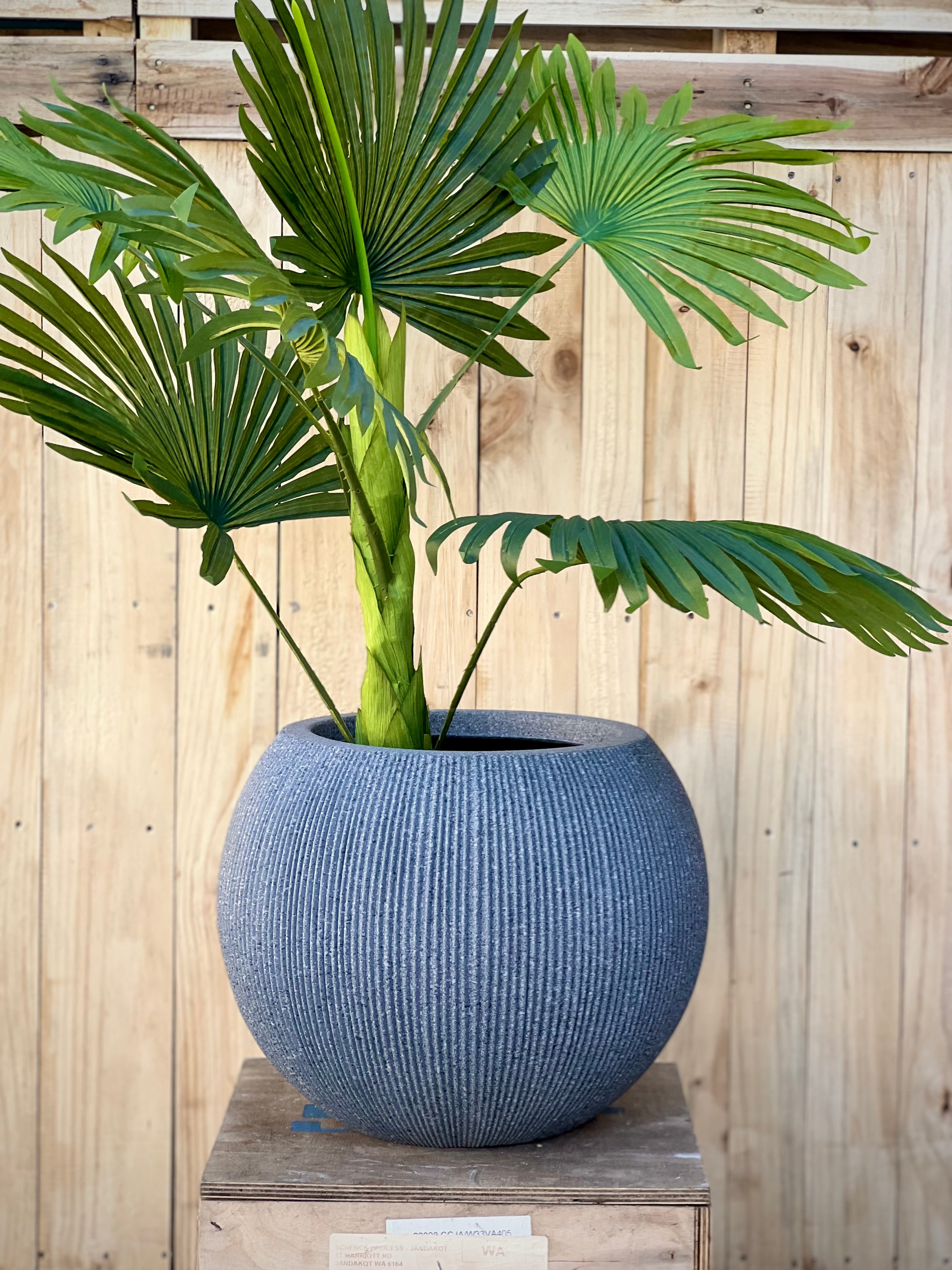 8620 Rondie Pot