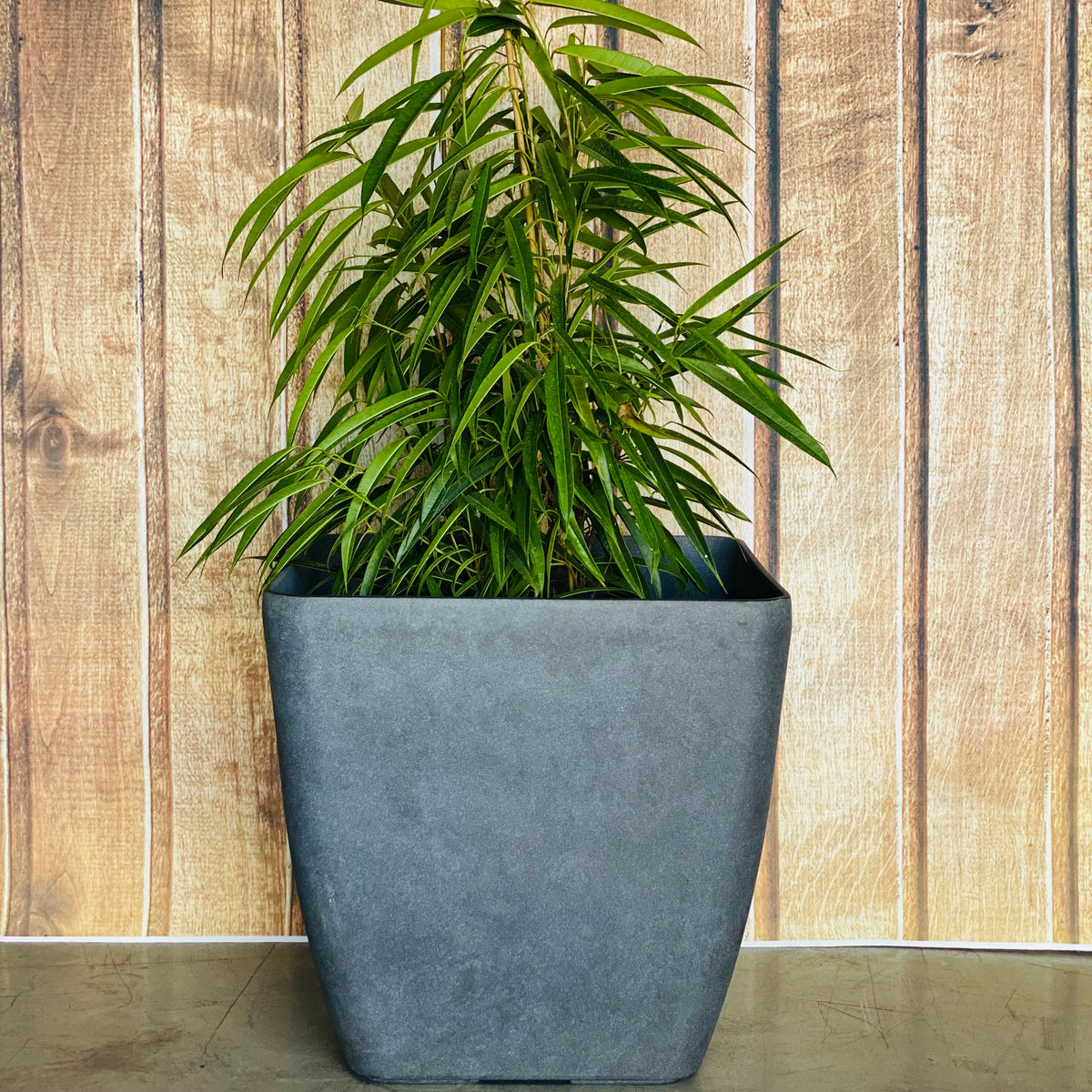 2002 Square Pot Clay Rust - lightweight square tapered pot