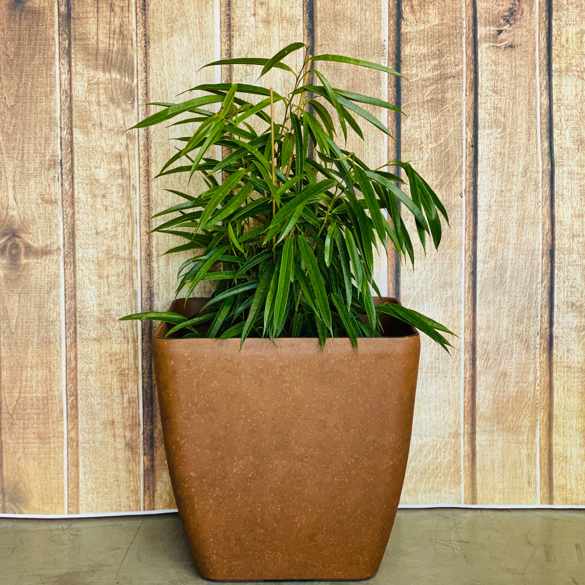 2002 Square Pot Husky White - lightweight square pot
