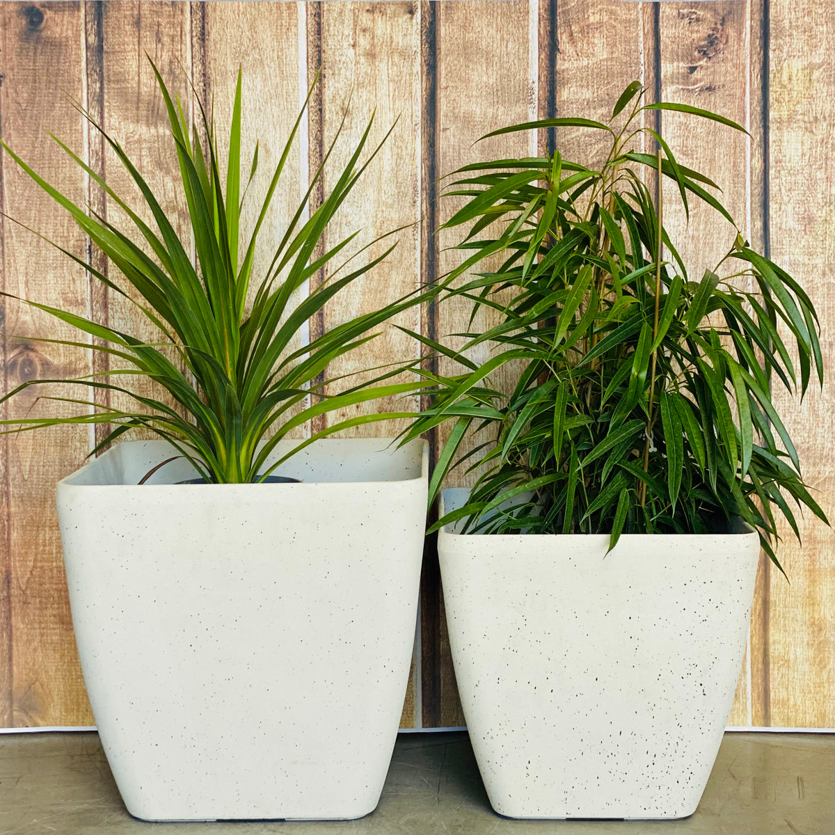 2002 Square Pot range - lightweight square tapered pots Lightweight Pots WA