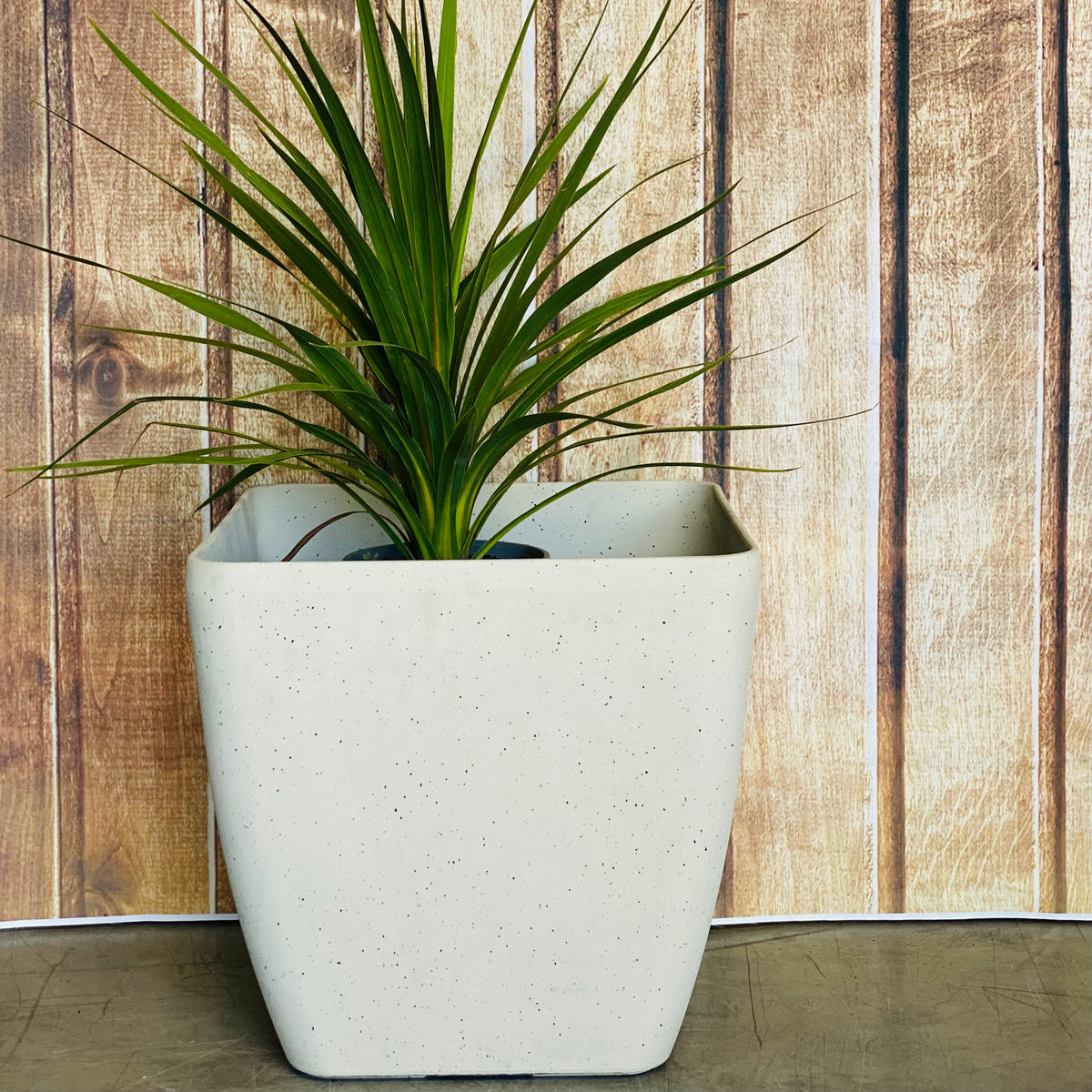 2002 Square Pot Grey Artisan - lightweight square tapered pot