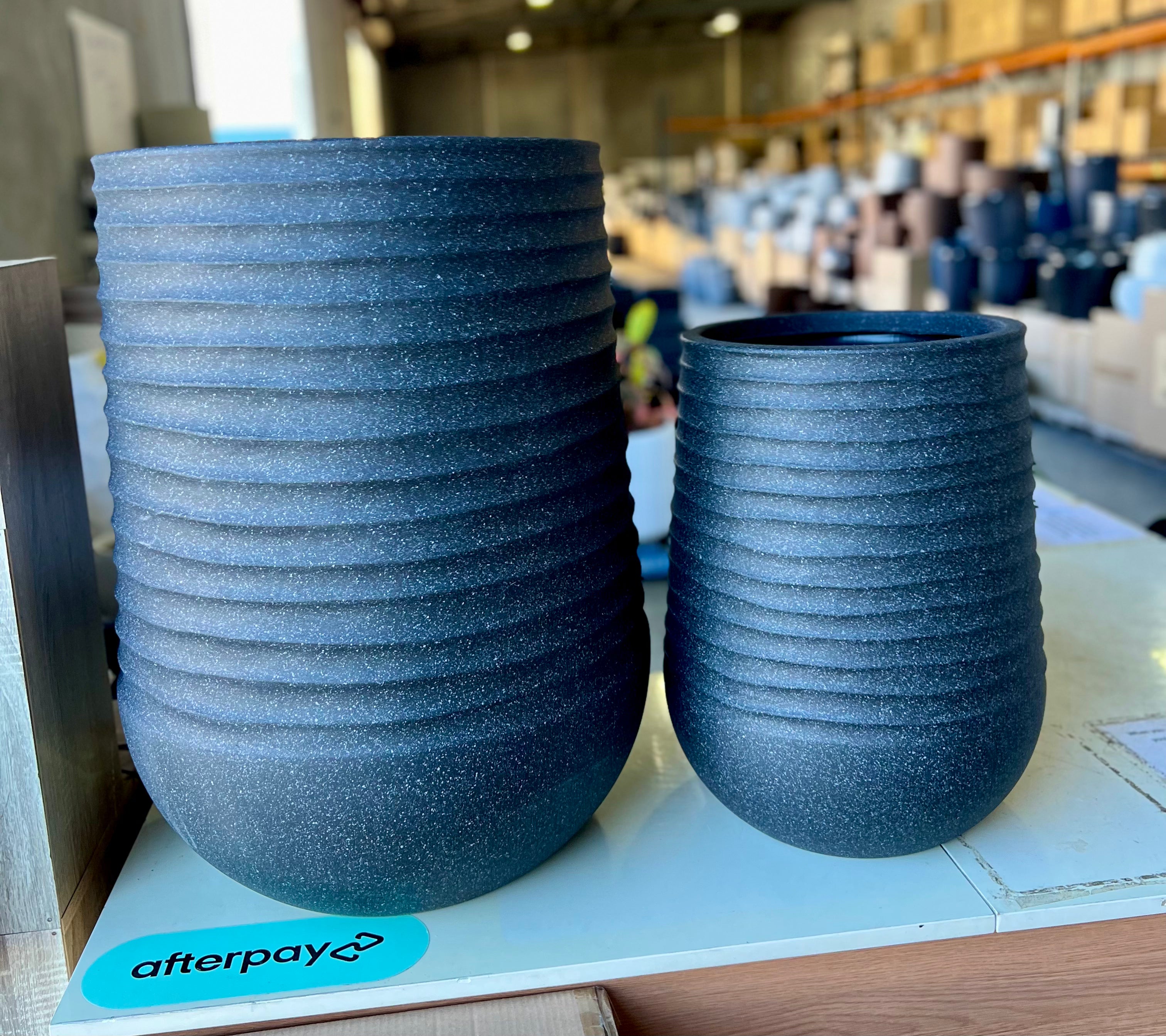 8604 Sophie Pot