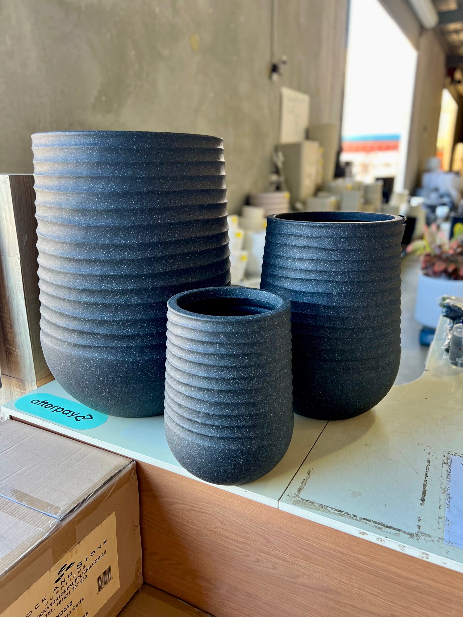 8604 Sophie Pot