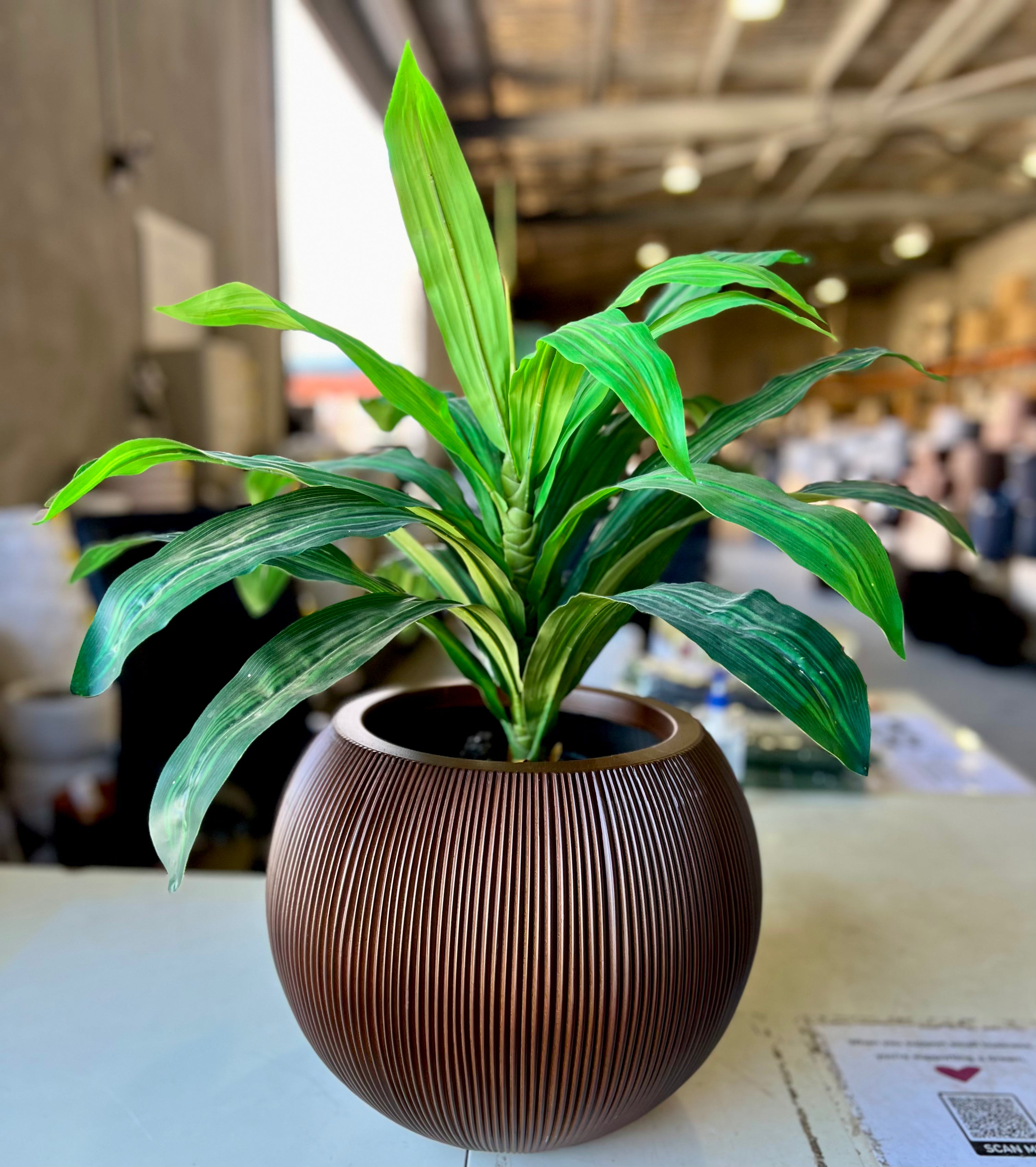 8620 Rondie Pot