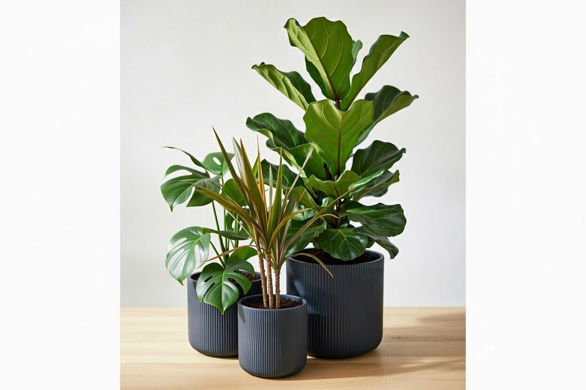 STRIPY CYLINDER Lightweight Fiberglass Composite Pots