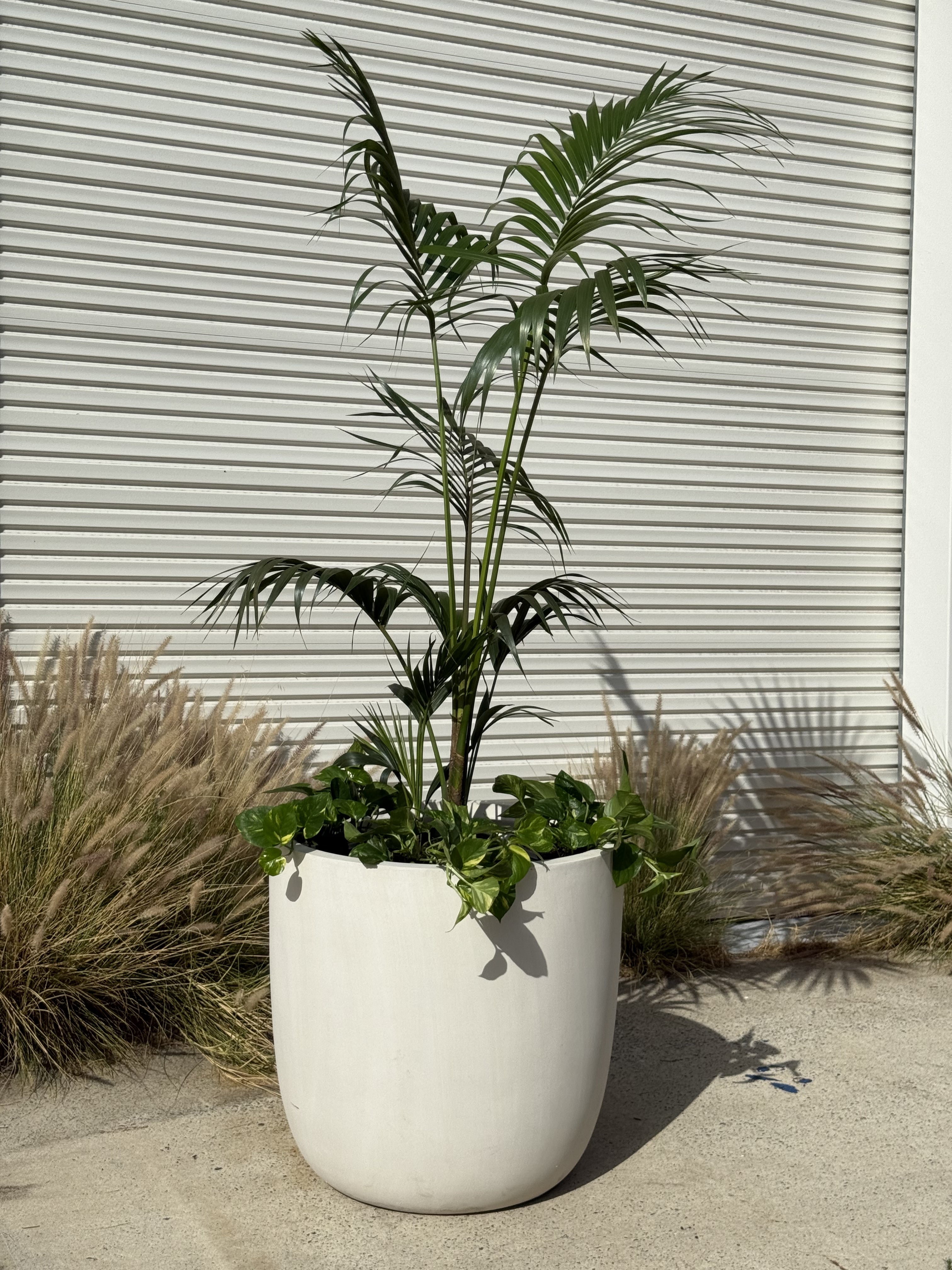 BIG BUDDHA Lightweight Round Pot – Indoor & Outdoor Statement Planter (Fibreglass/Clay Blend) - 101