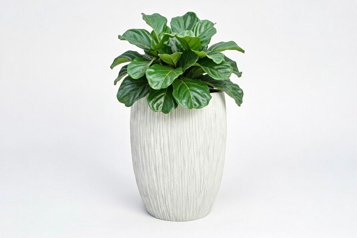 WILLOW Lightweight Fiberglass Composite Pots