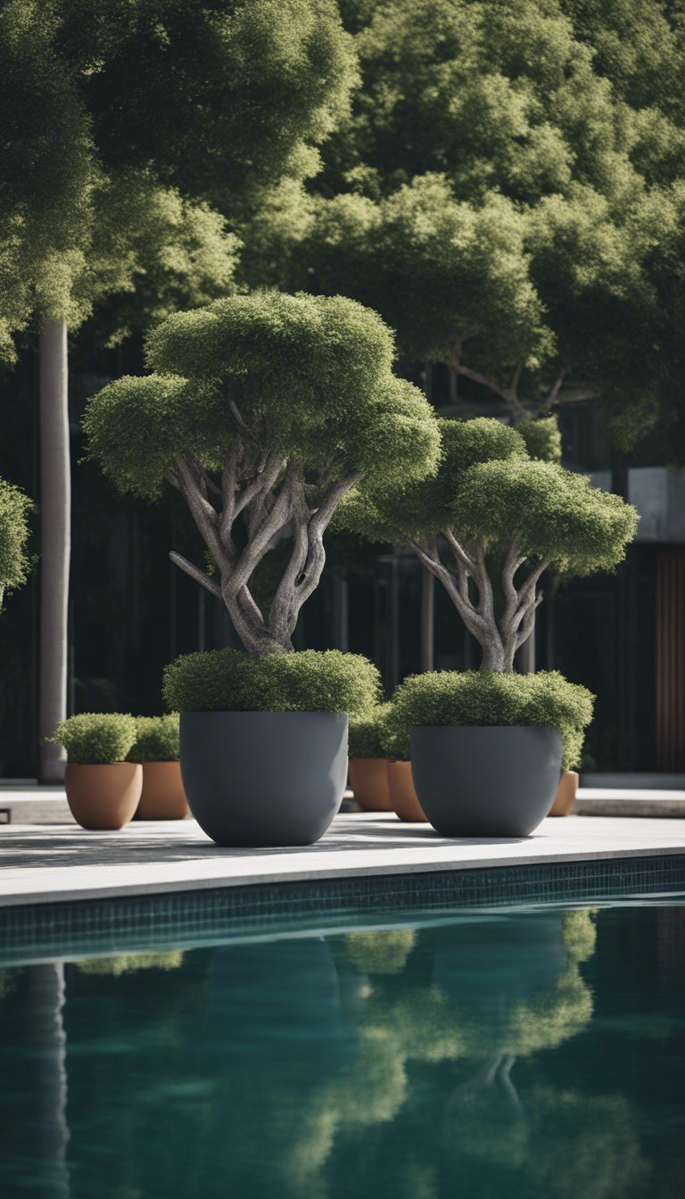 Base Low Smooth Fiberclay Pot Dark Grey Large - lightweight low pot