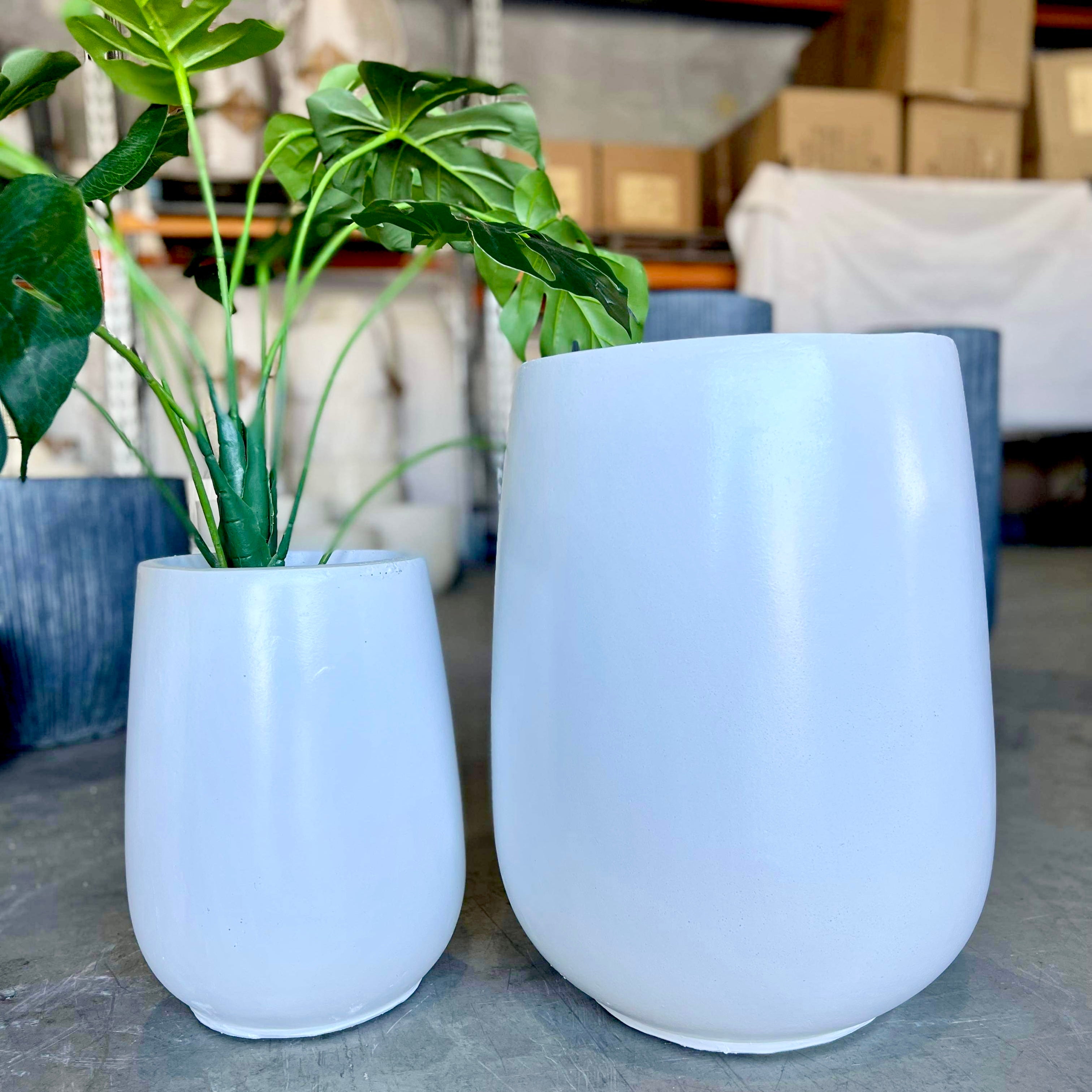 EGG TALL - PR36