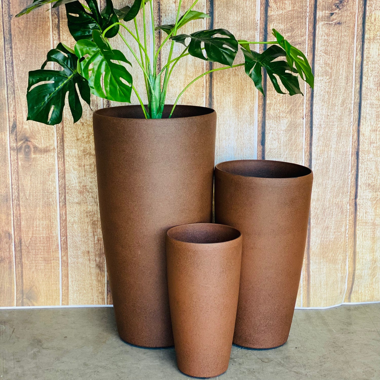 2003 Tolly Pot