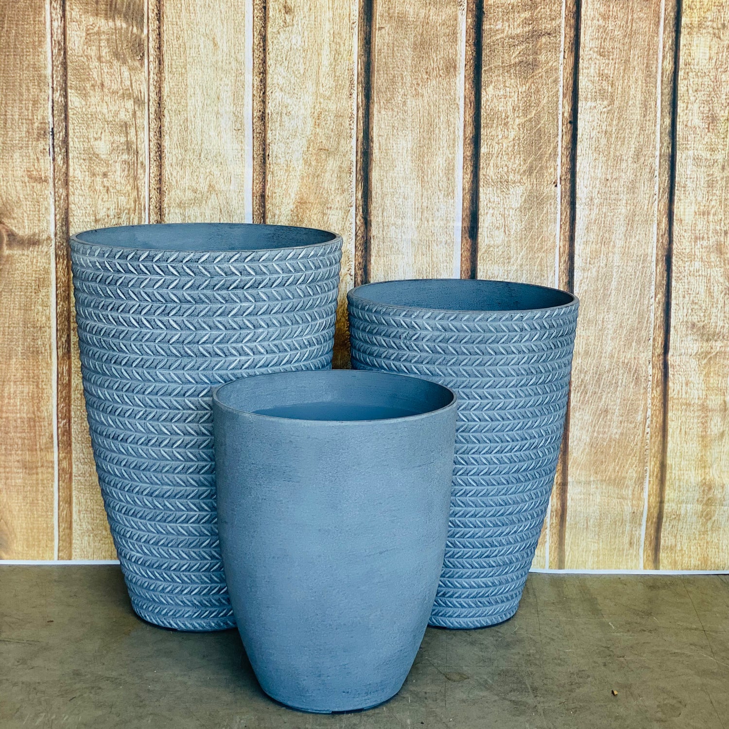 2197 Bradie Pot