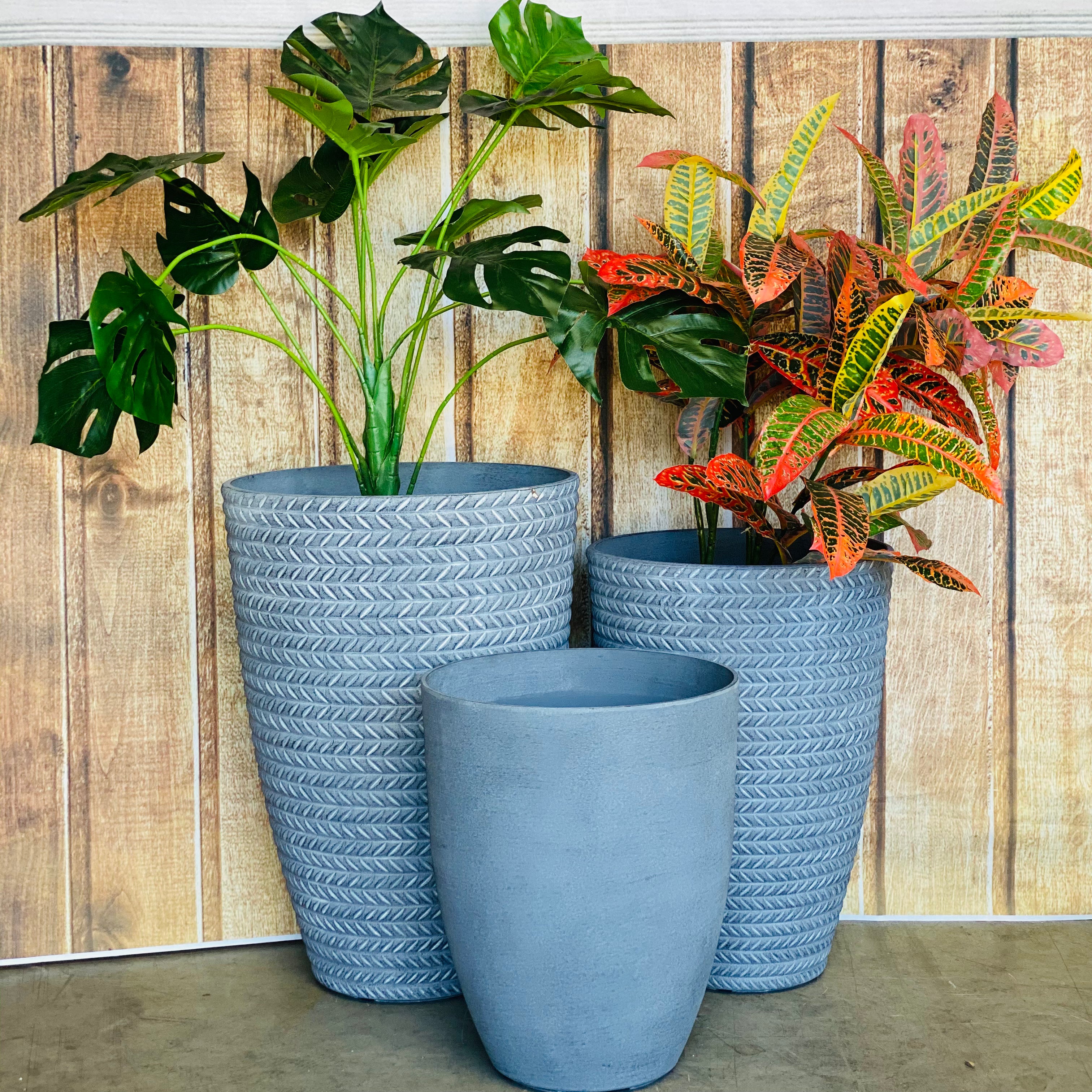 2197 Bradie Pot