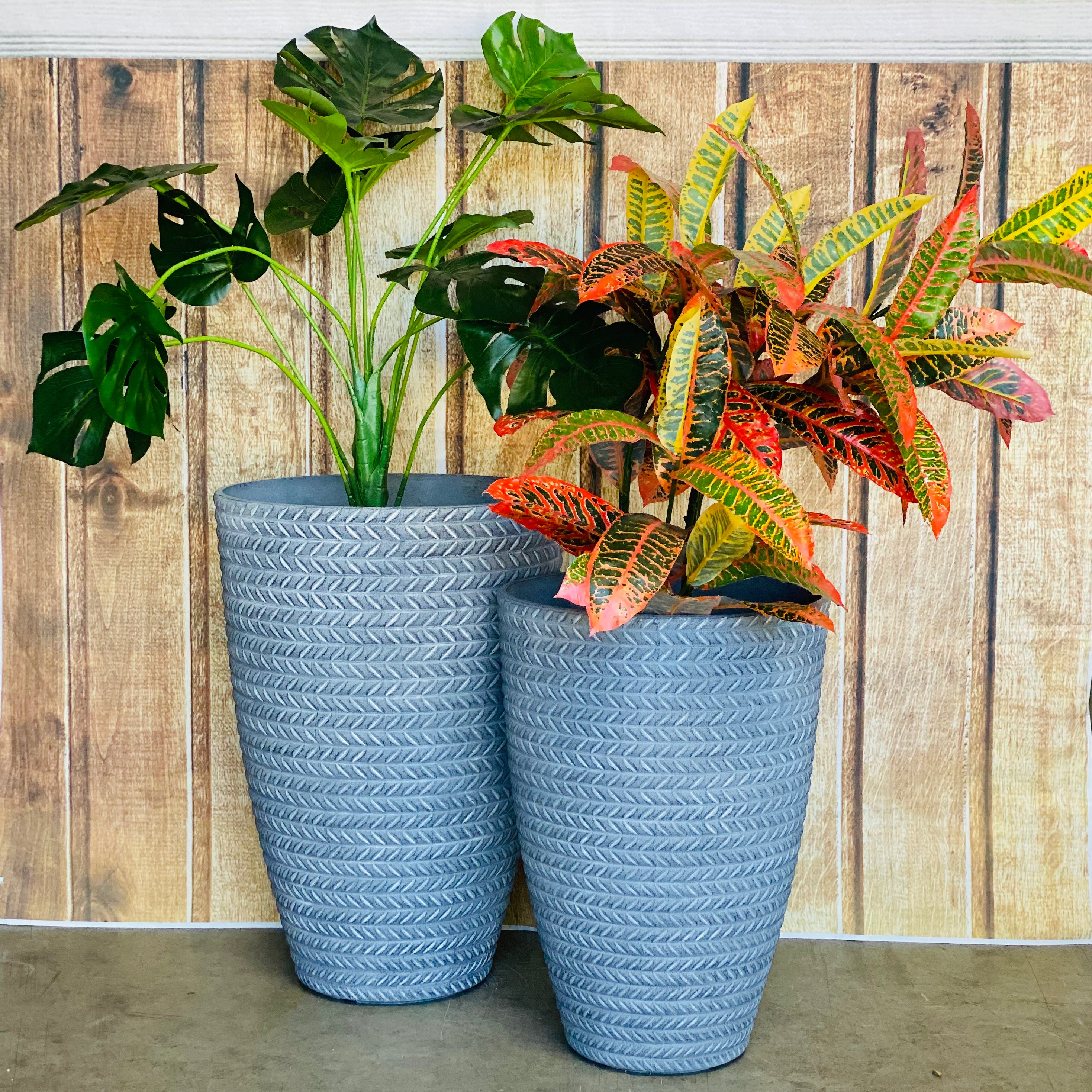 2197 Bradie Pot